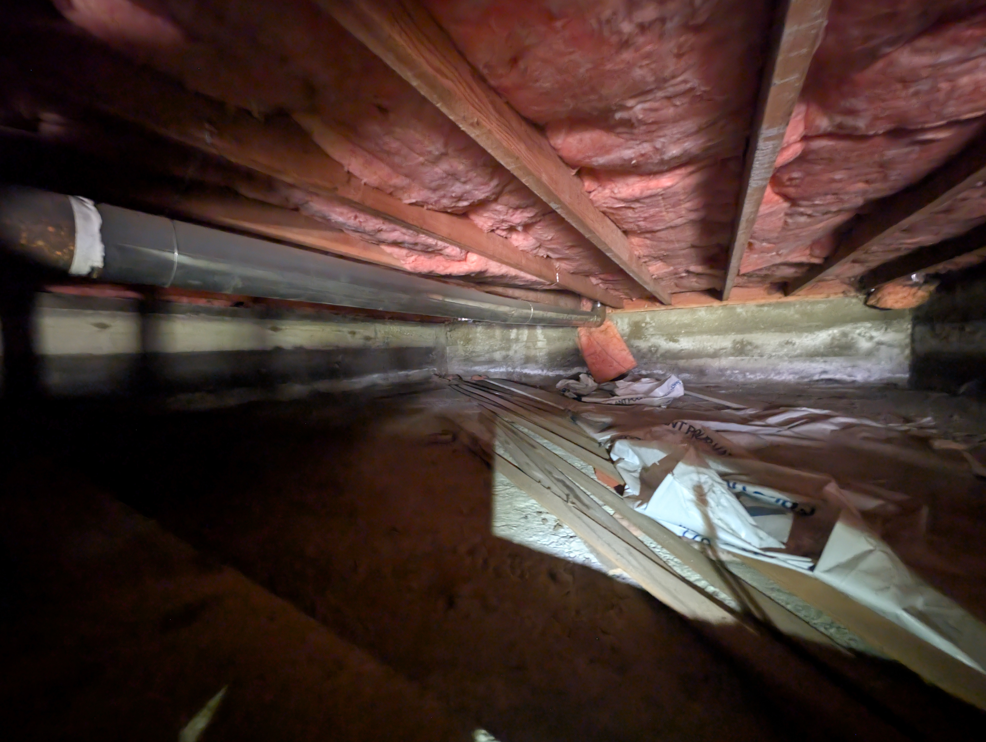 this crawl space is tiny and gross