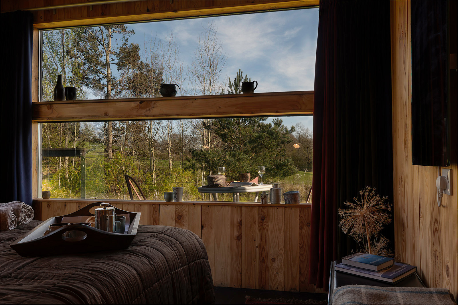 View from the Bivouac at Woodlands Farm Wales, with young trees growing outside and the Welsh countryside beyond, highlighting the connection with nature.
