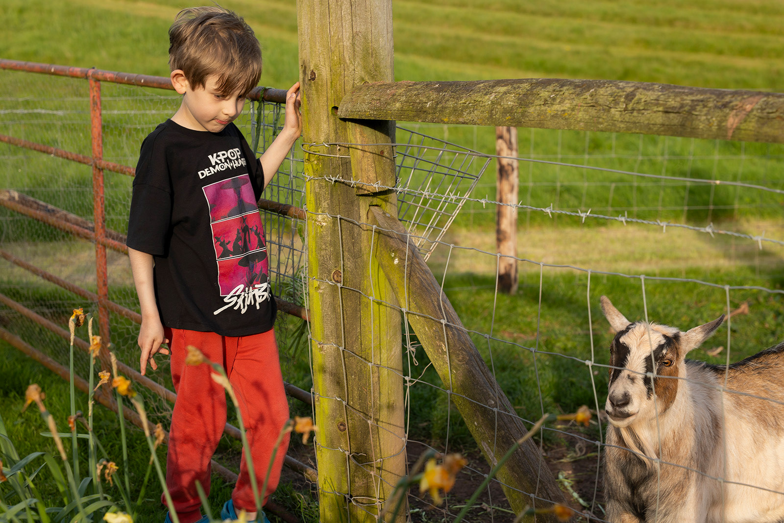 Outdoor lifestyle photography at Woodlands Farm Wales, capturing a young guest meeting one of the farm’s goats during their stay.