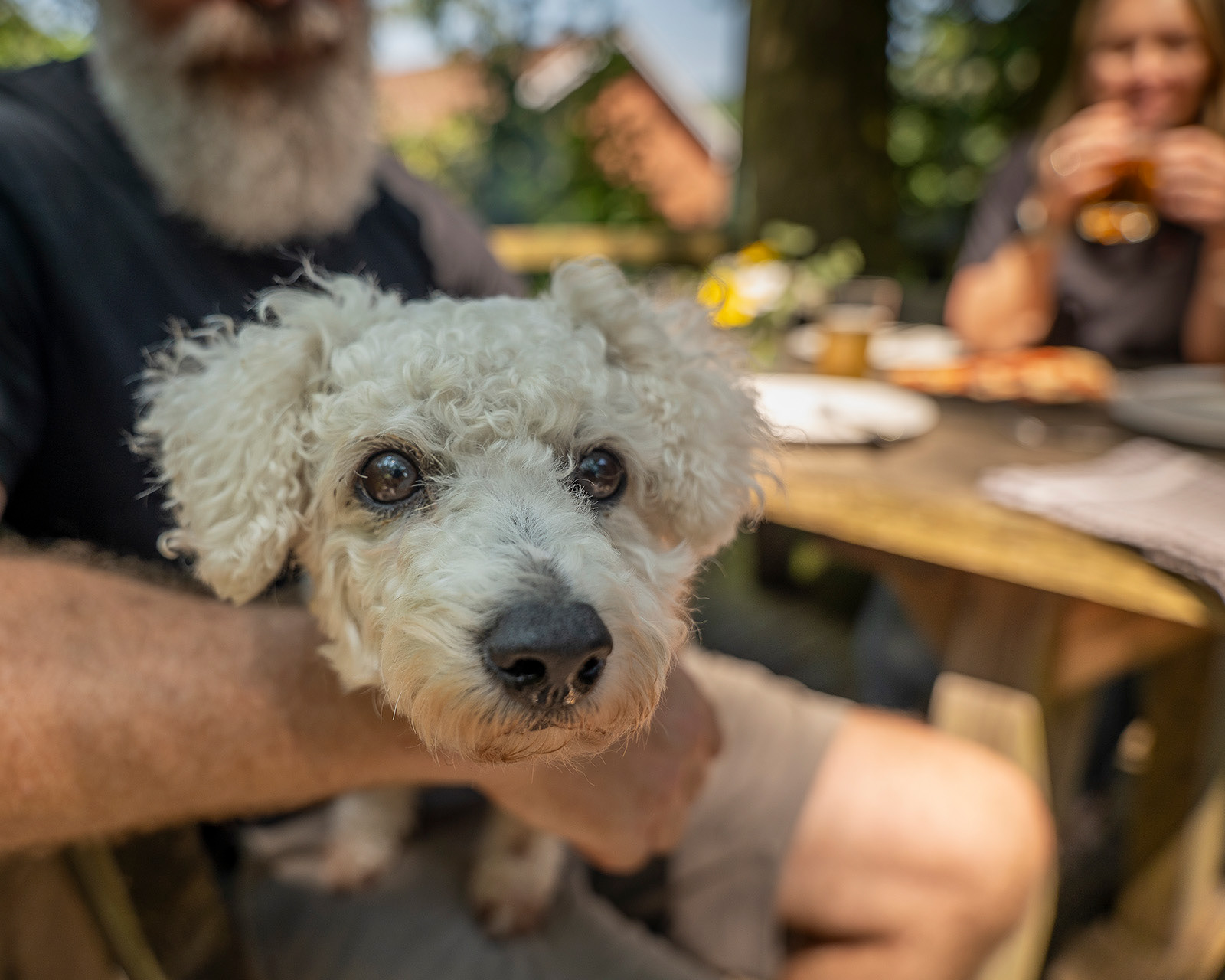 A small white dog enjoying a cuddle on a host’s lap at Roost Merthyr Tydfil, with the hosts relaxing together at the outdoor table. A warm, informal moment highlighting the dog-friendly atmosphere of this South Wales glamping accommodation.