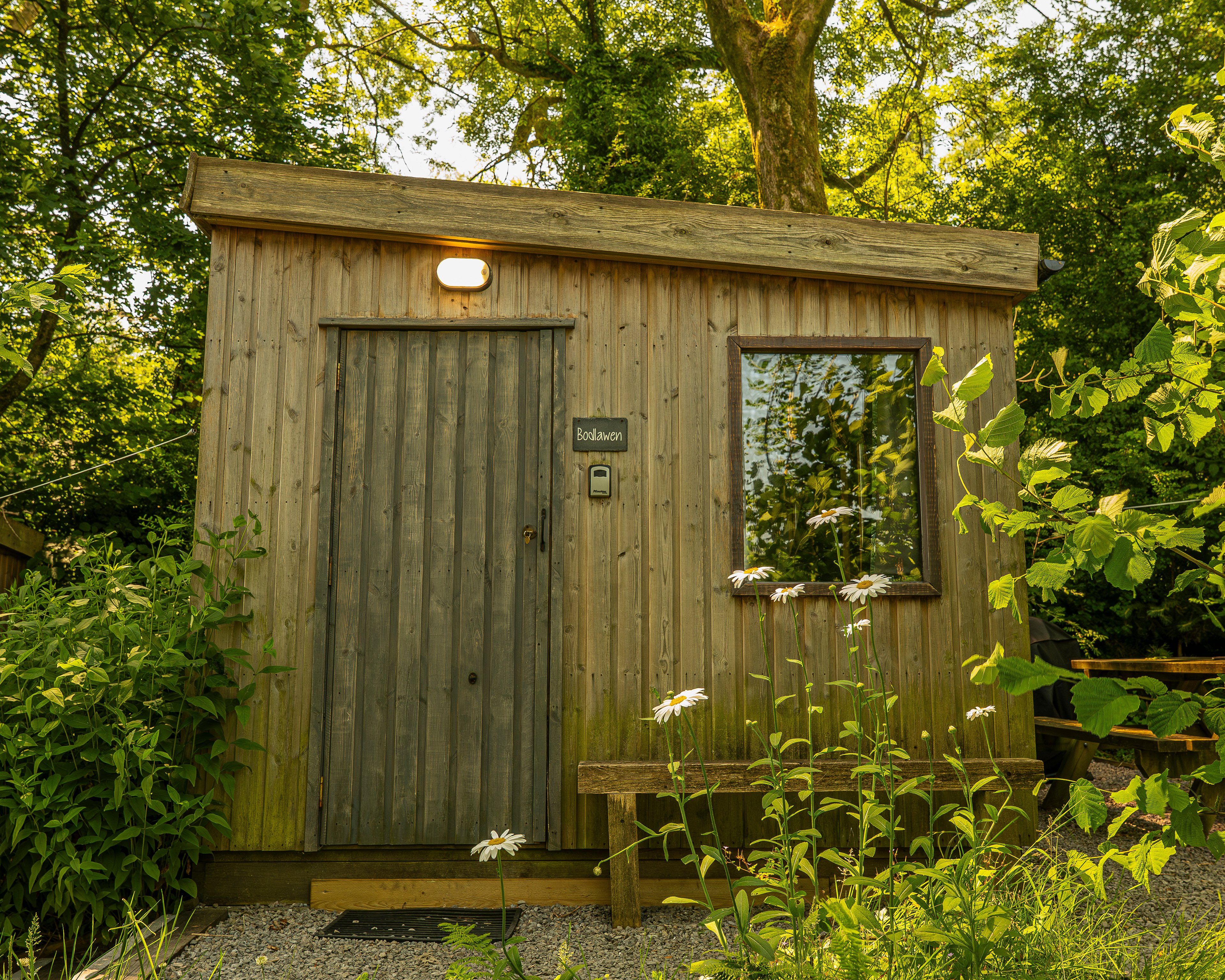 Bodlawen cabin at Roost Merthyr Tydfil, nestled beneath the canopy of the trees and surrounded by natural greenery. The shaded setting creates a cool and peaceful outdoor space for guests enjoying a South Wales glamping stay.