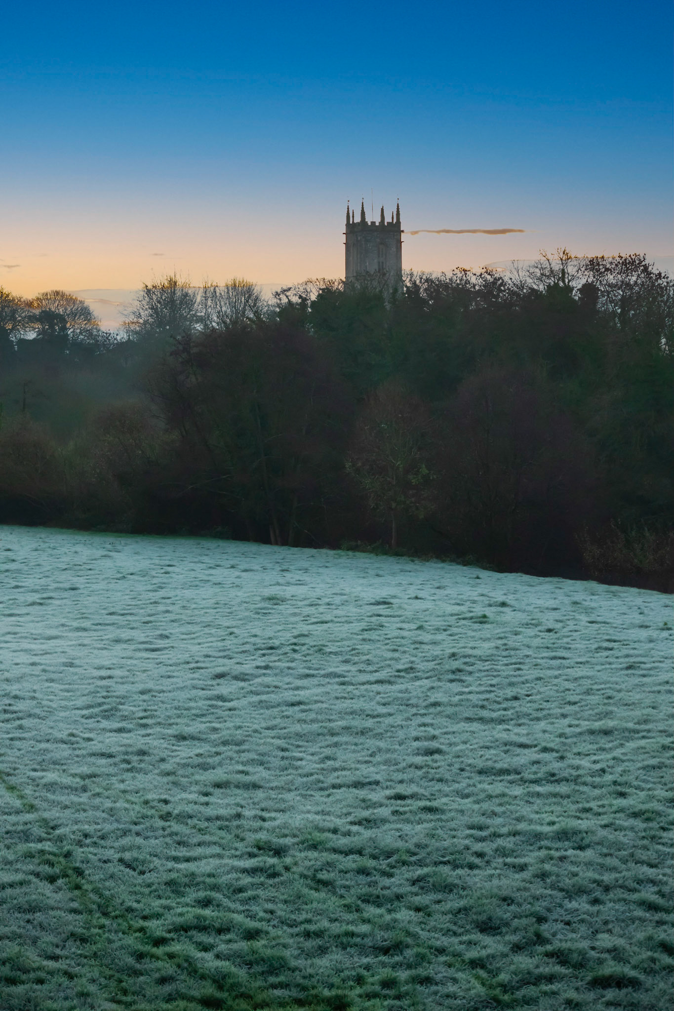 Frosty Morning.