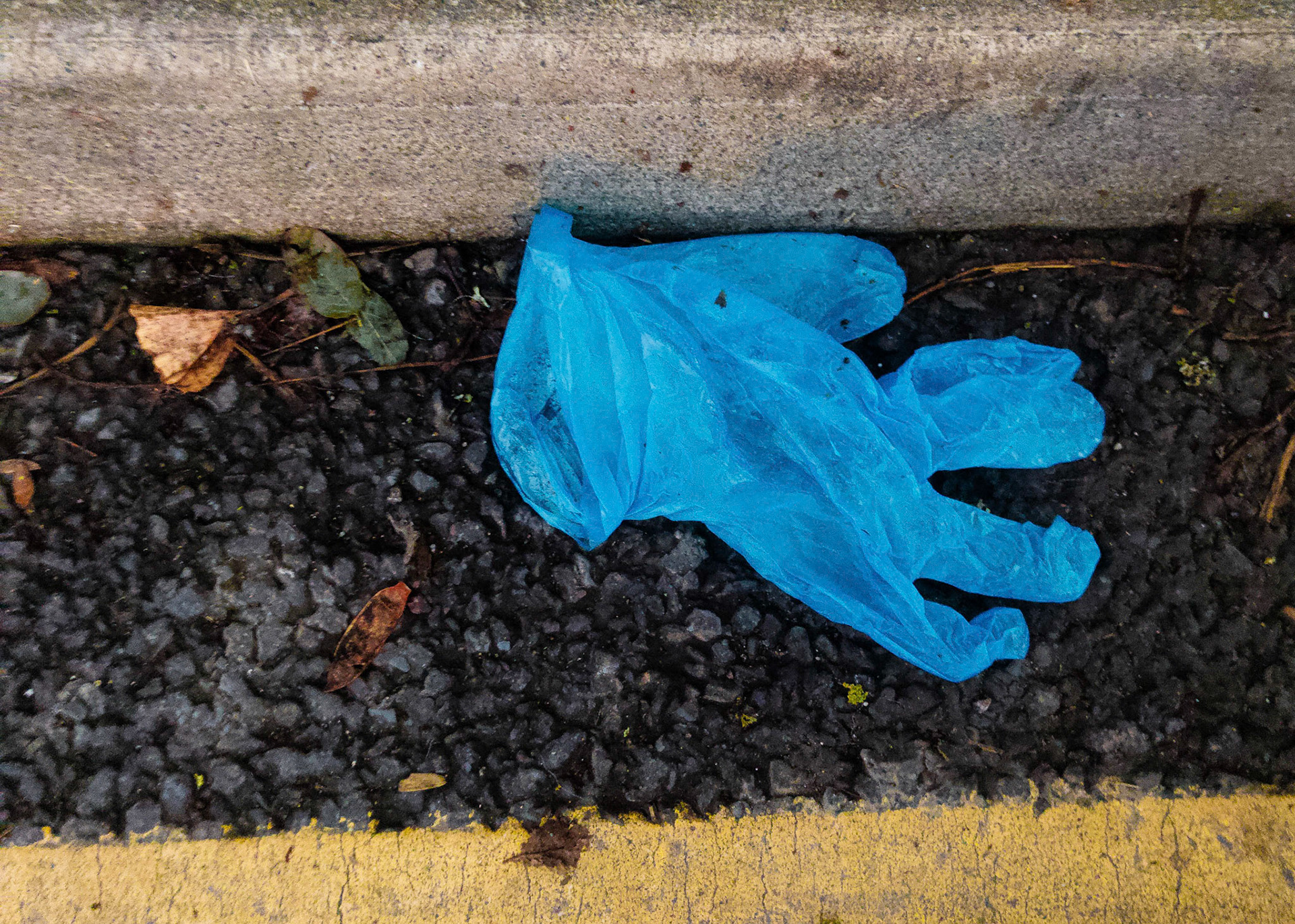 Blue Glove.