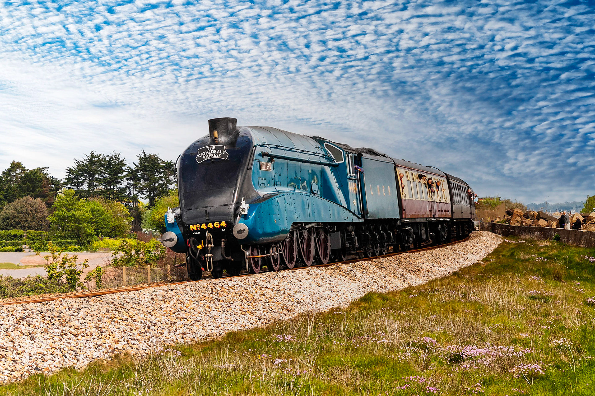 4464 Bitton