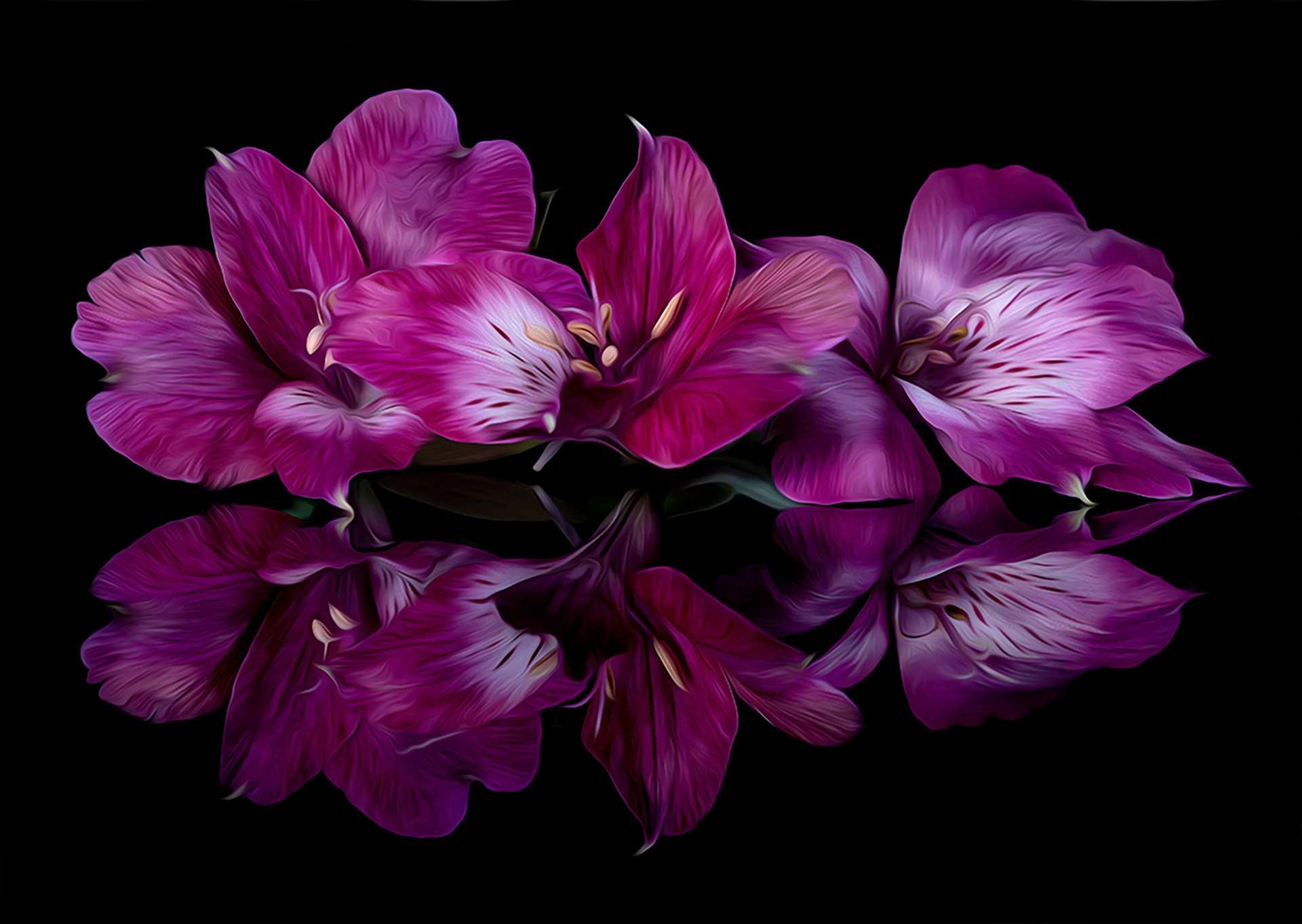 Alstromeria in oils