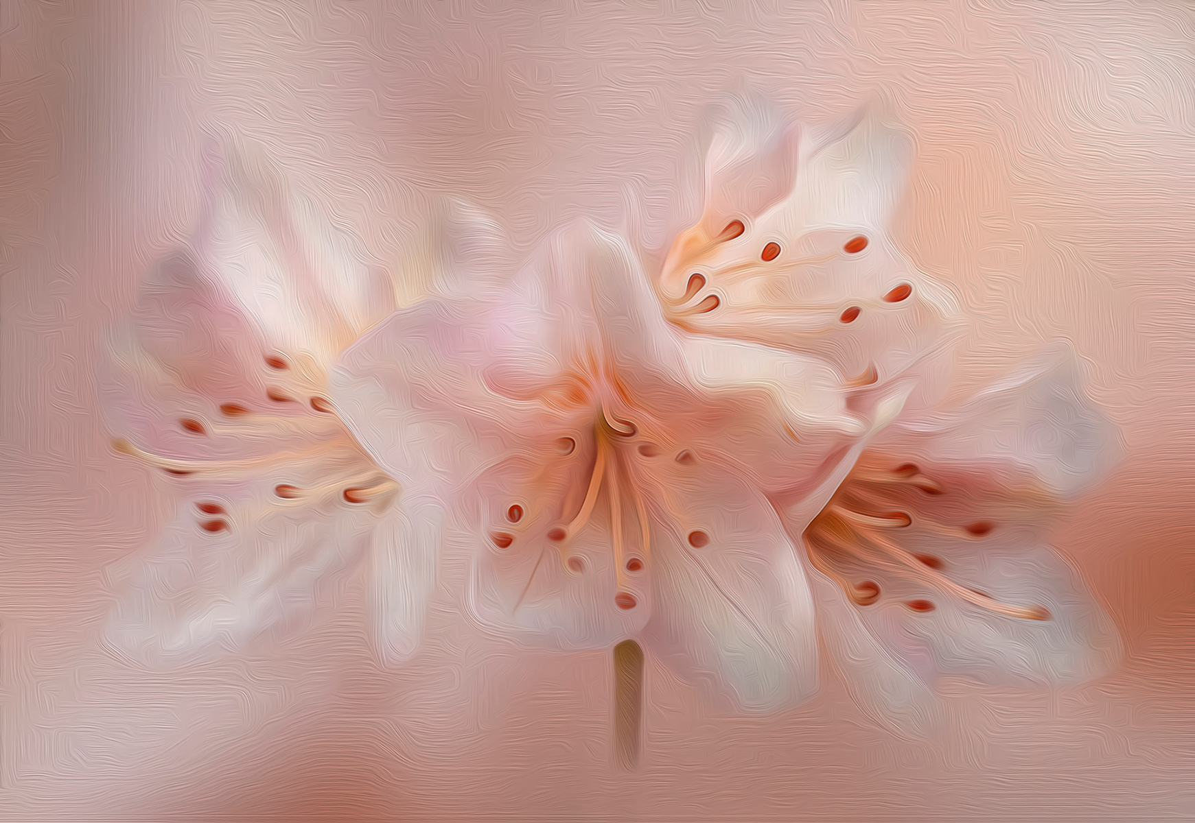 Peach azalea