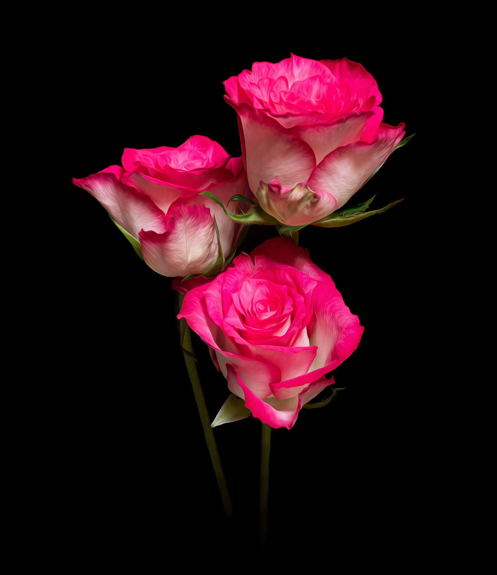 Trio of roses