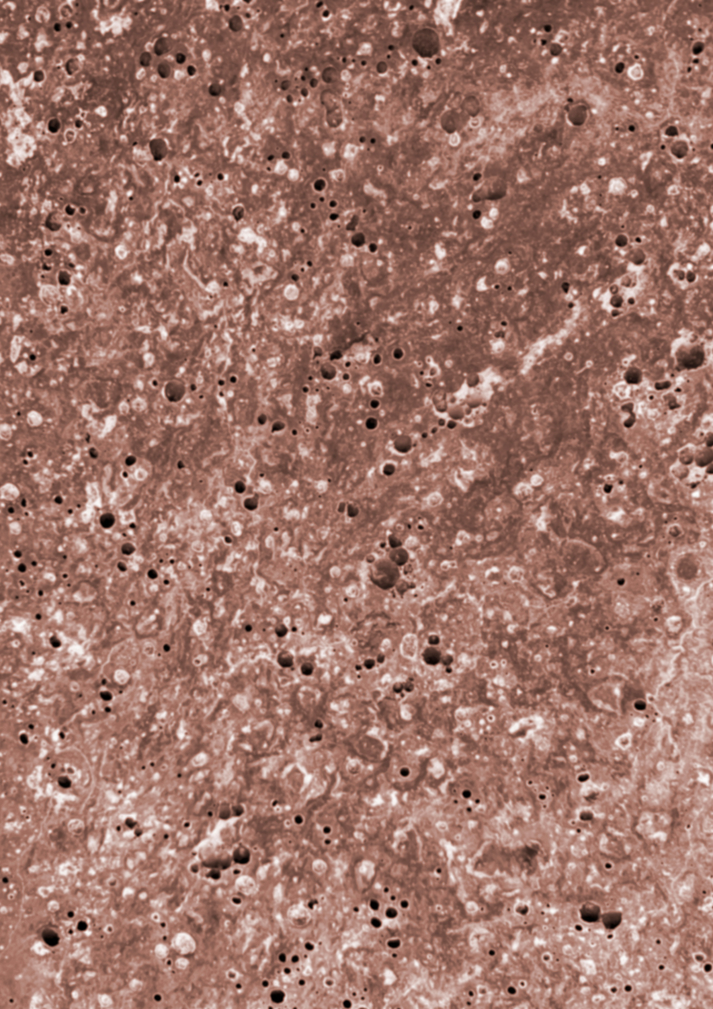 T012