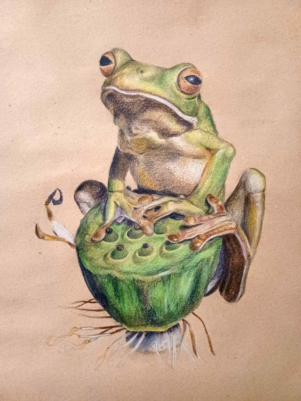 Farbstift auf Packpapier