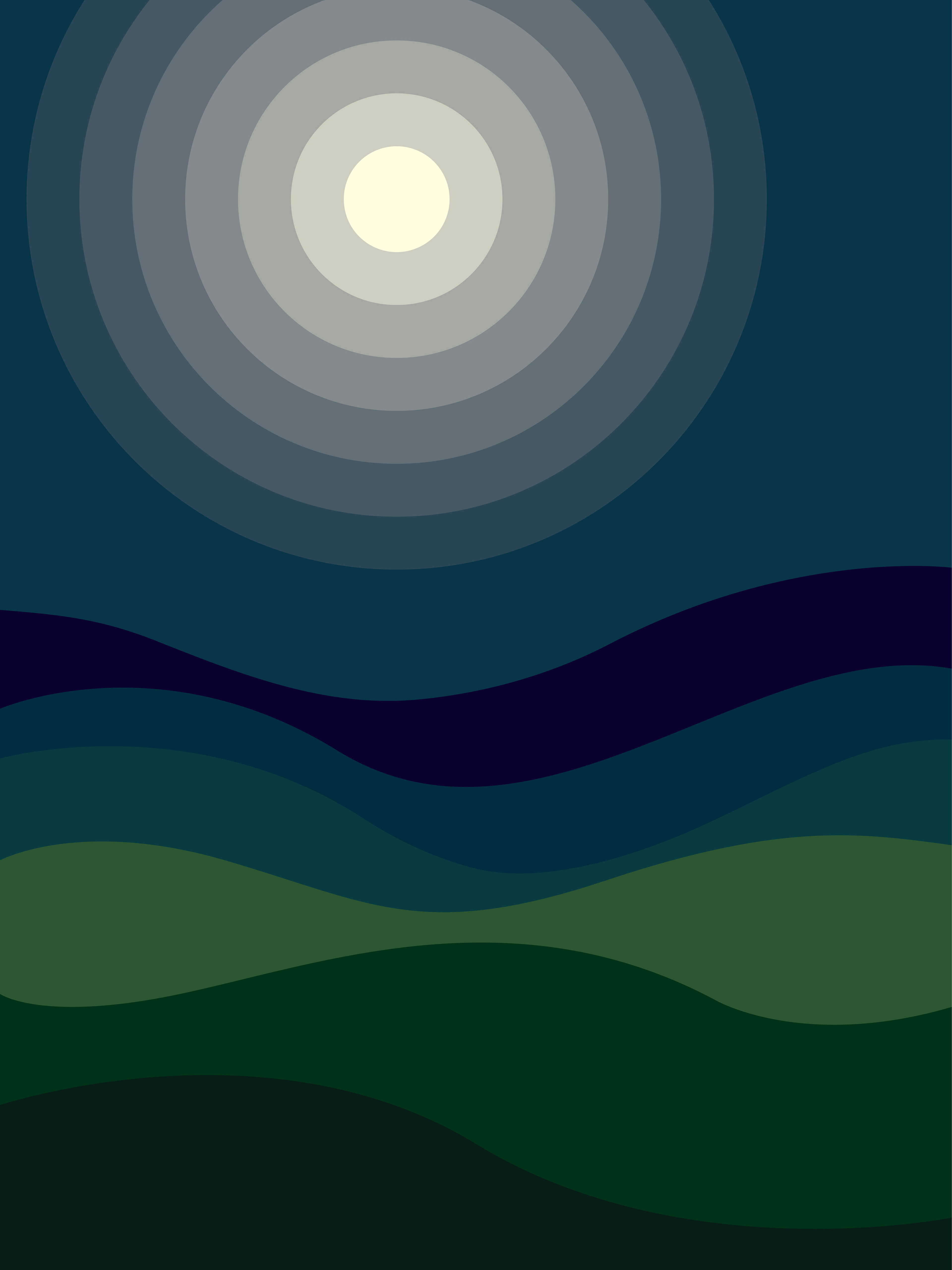 Night (18x24)