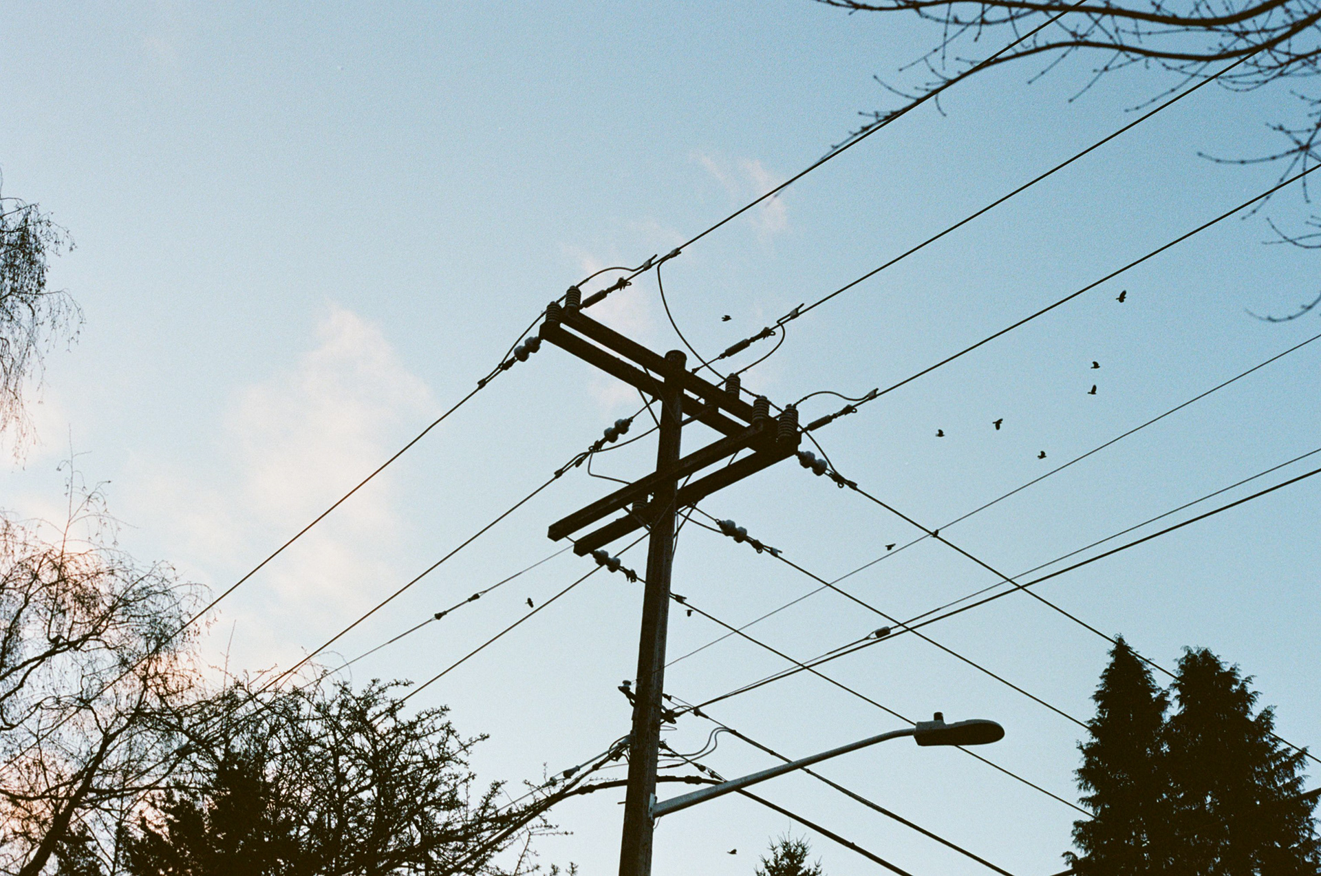 North Seattle