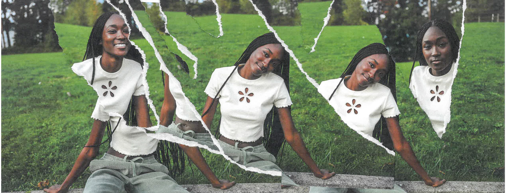 "Cut it Out" Web Banner