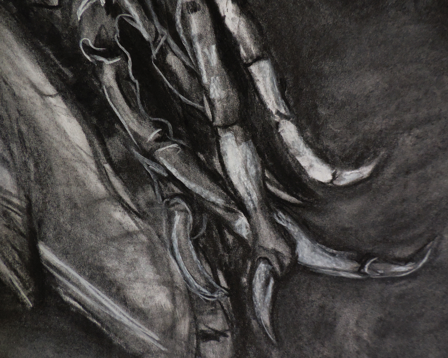 Bird 1 Detail