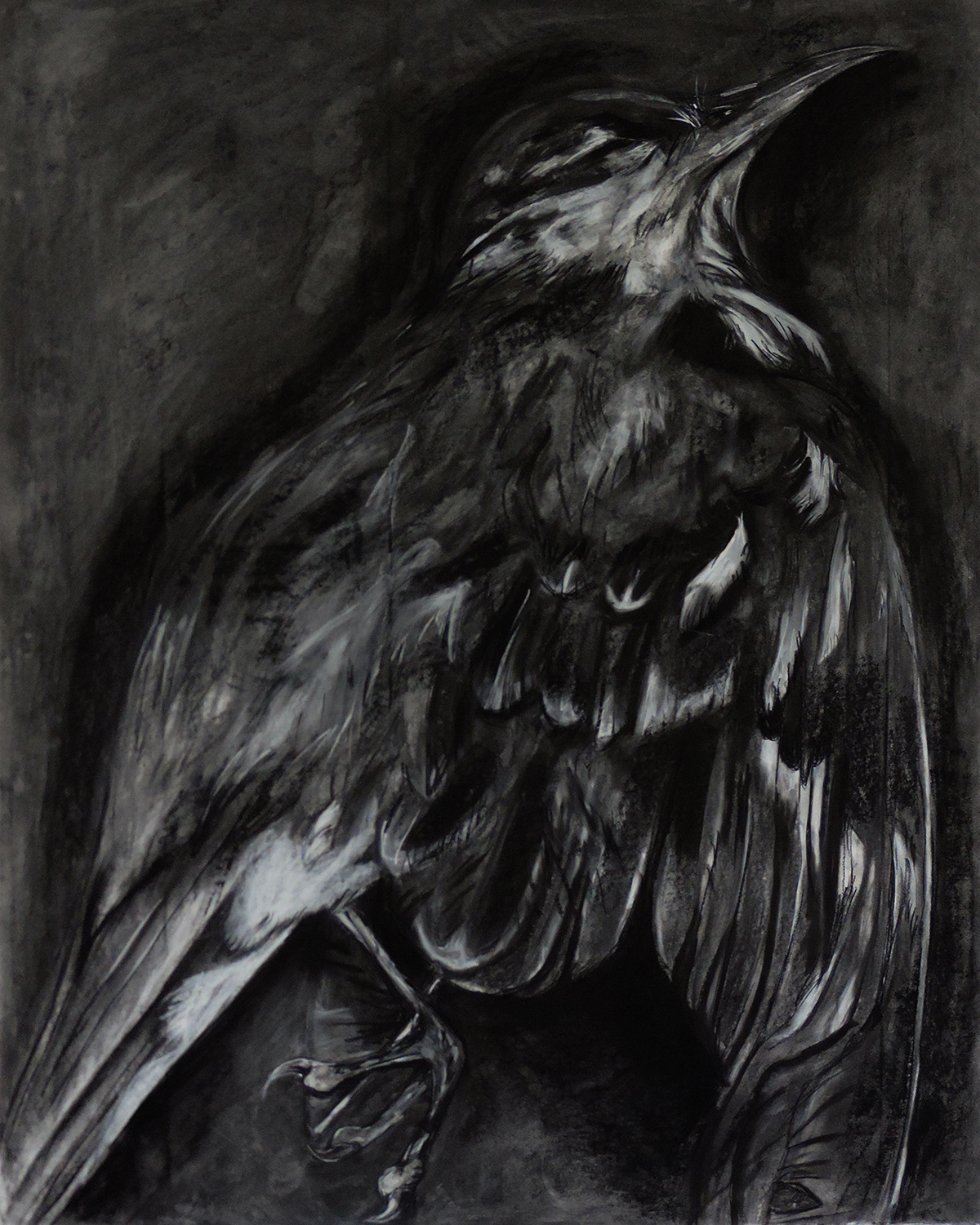 Bird 1. Charcoal. 2020.