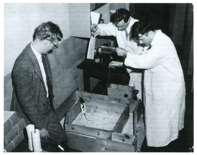 A re-enactment of the discovery of self-stimulation in 1954 (source: McGill University)