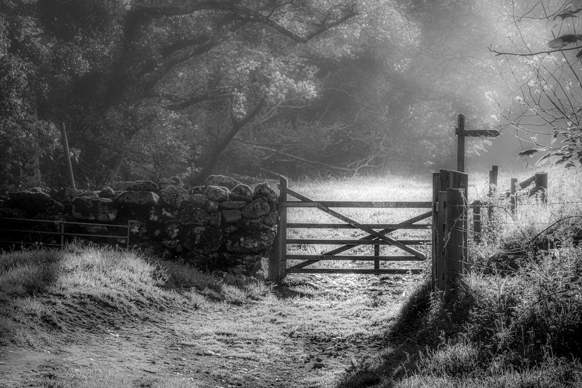 Footpath in Dartmoor