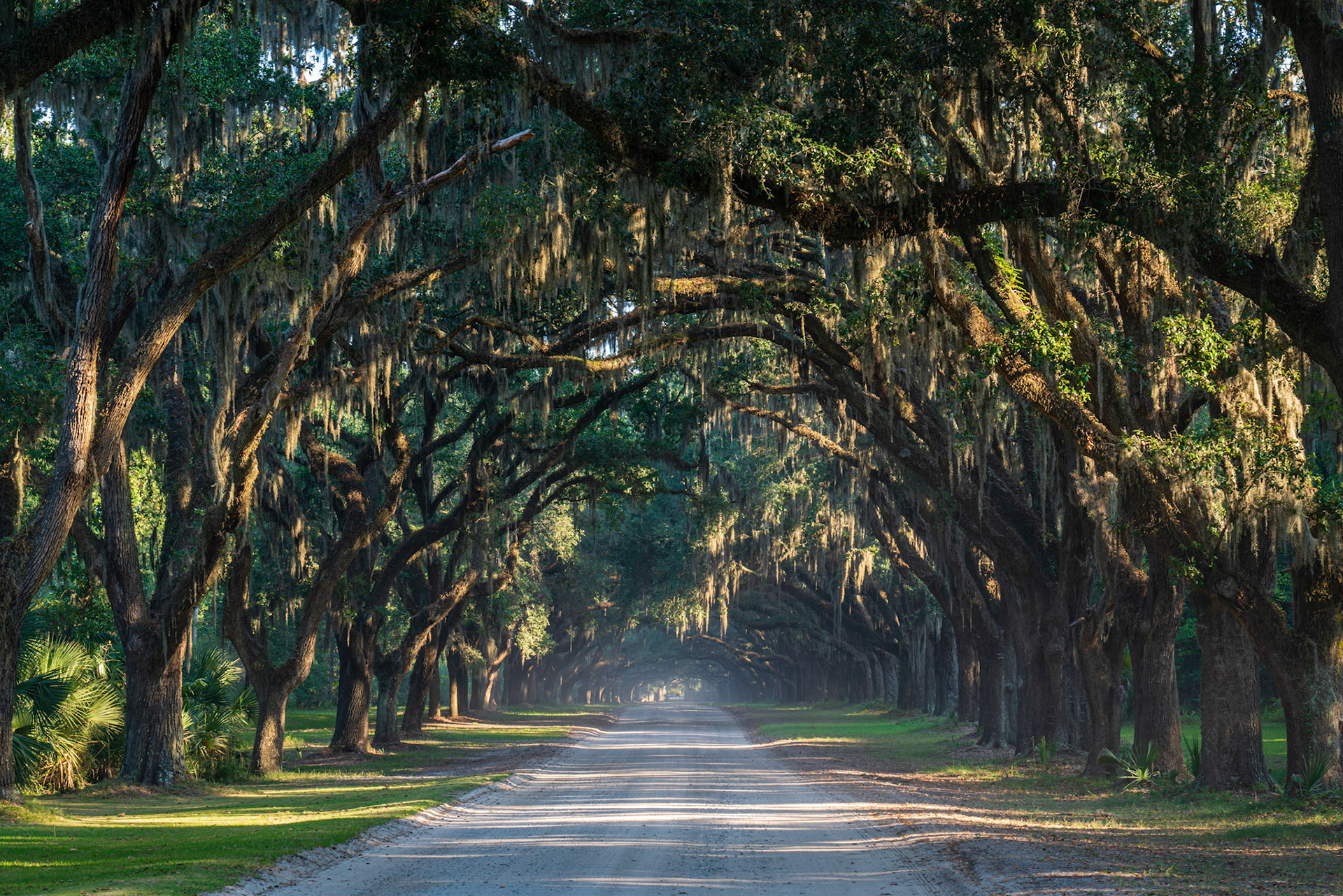 Wormsloe Plantation