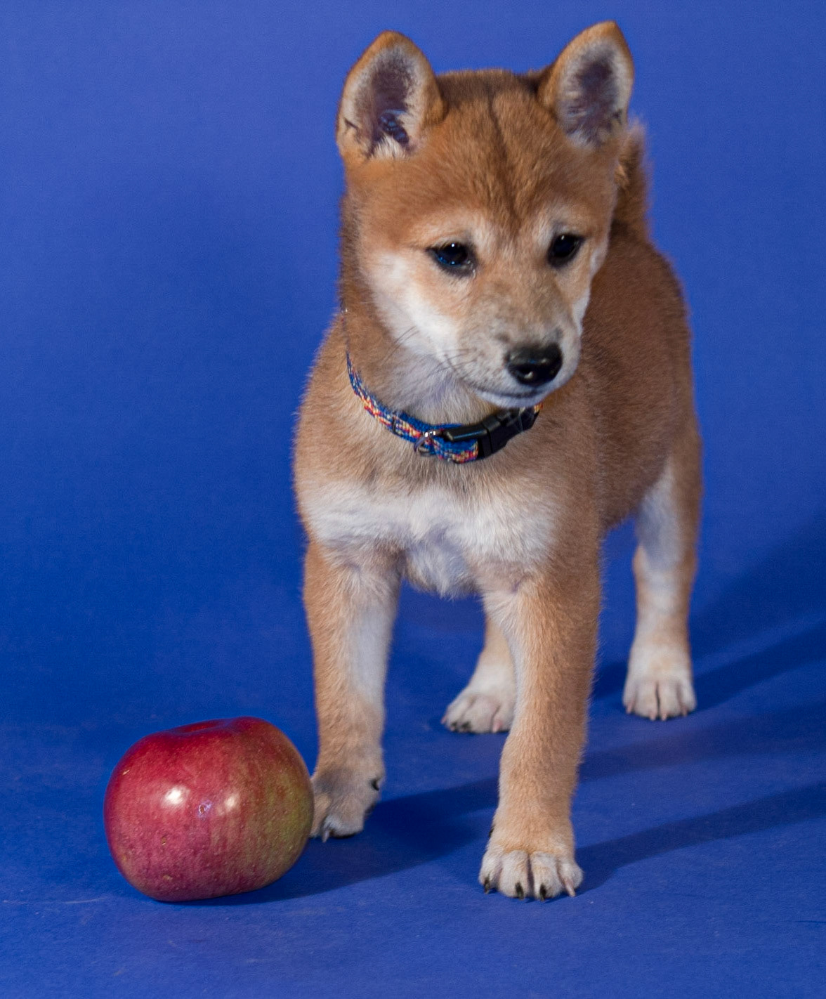 Semi's first photo shoot