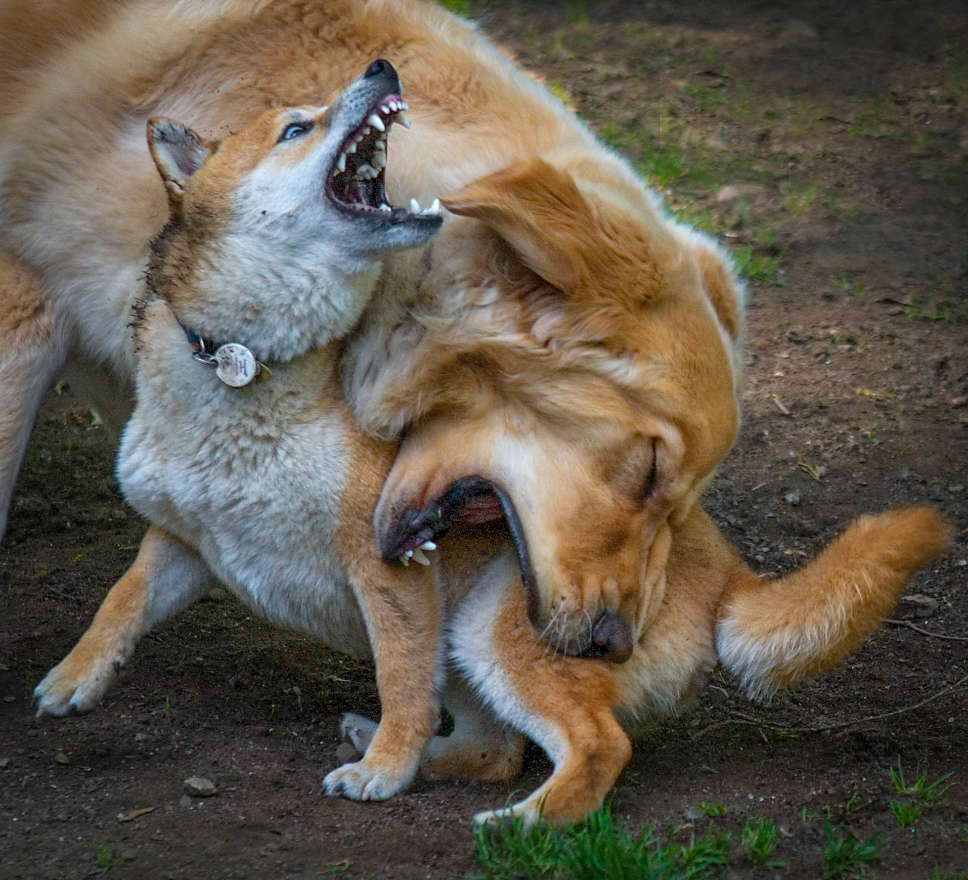 Just Playing