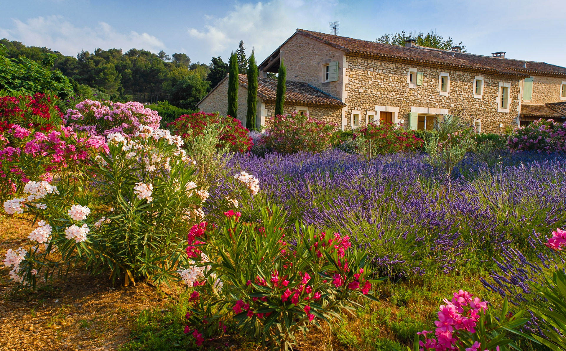 Mas des Figues, Provence,