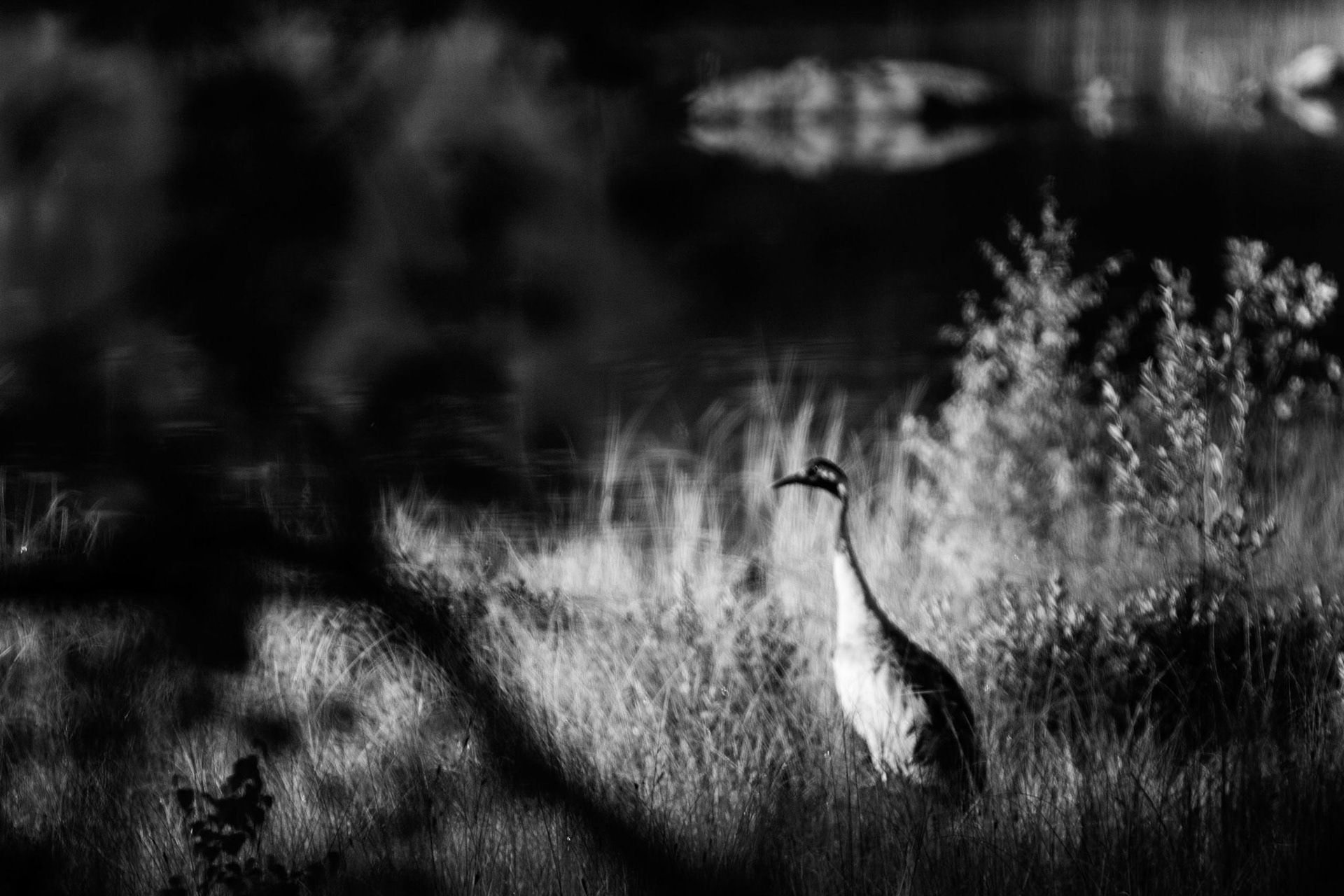 Per Lissel, +46 706272302