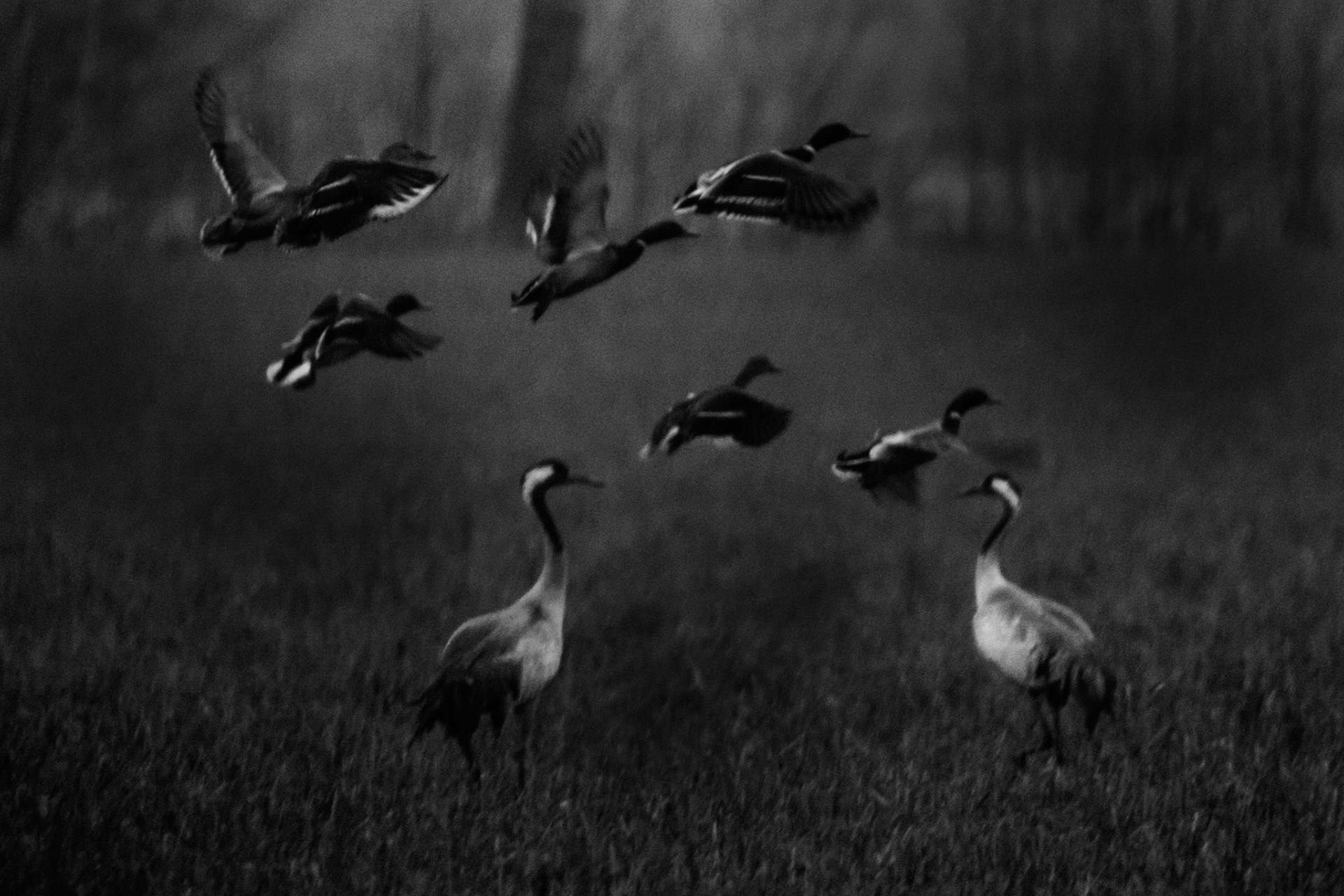 Per Lissel, +46 706272302