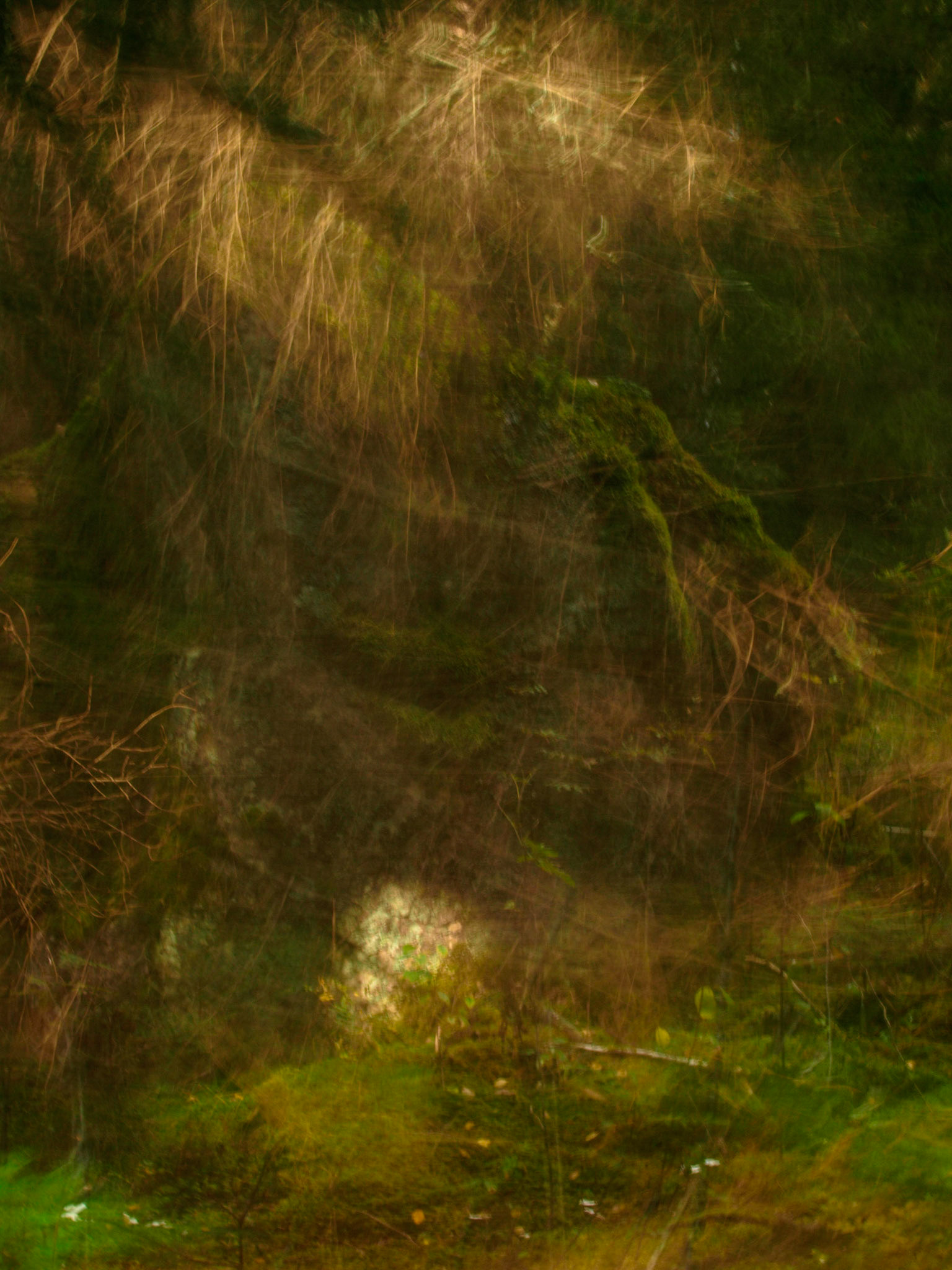 Picture taken in Lövåsen near Arkhyttan, Dalarna, Sweden. Technique: Long exposure and focusing on two objects.
