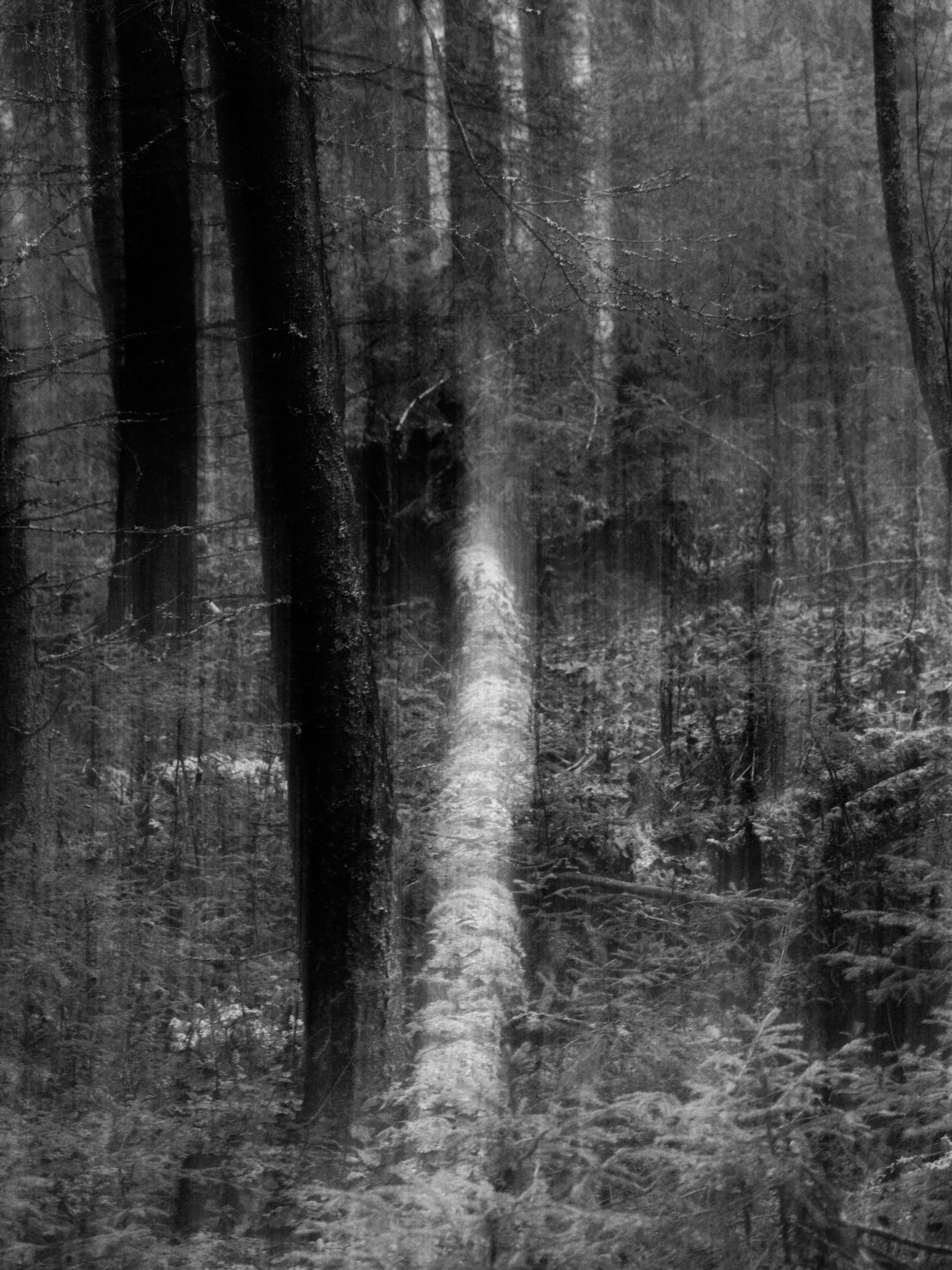 Picture taken in Lövåsen near Arkhyttan, Dalarna, Sweden. Technique: Long exposure and move of the camera part of the time.