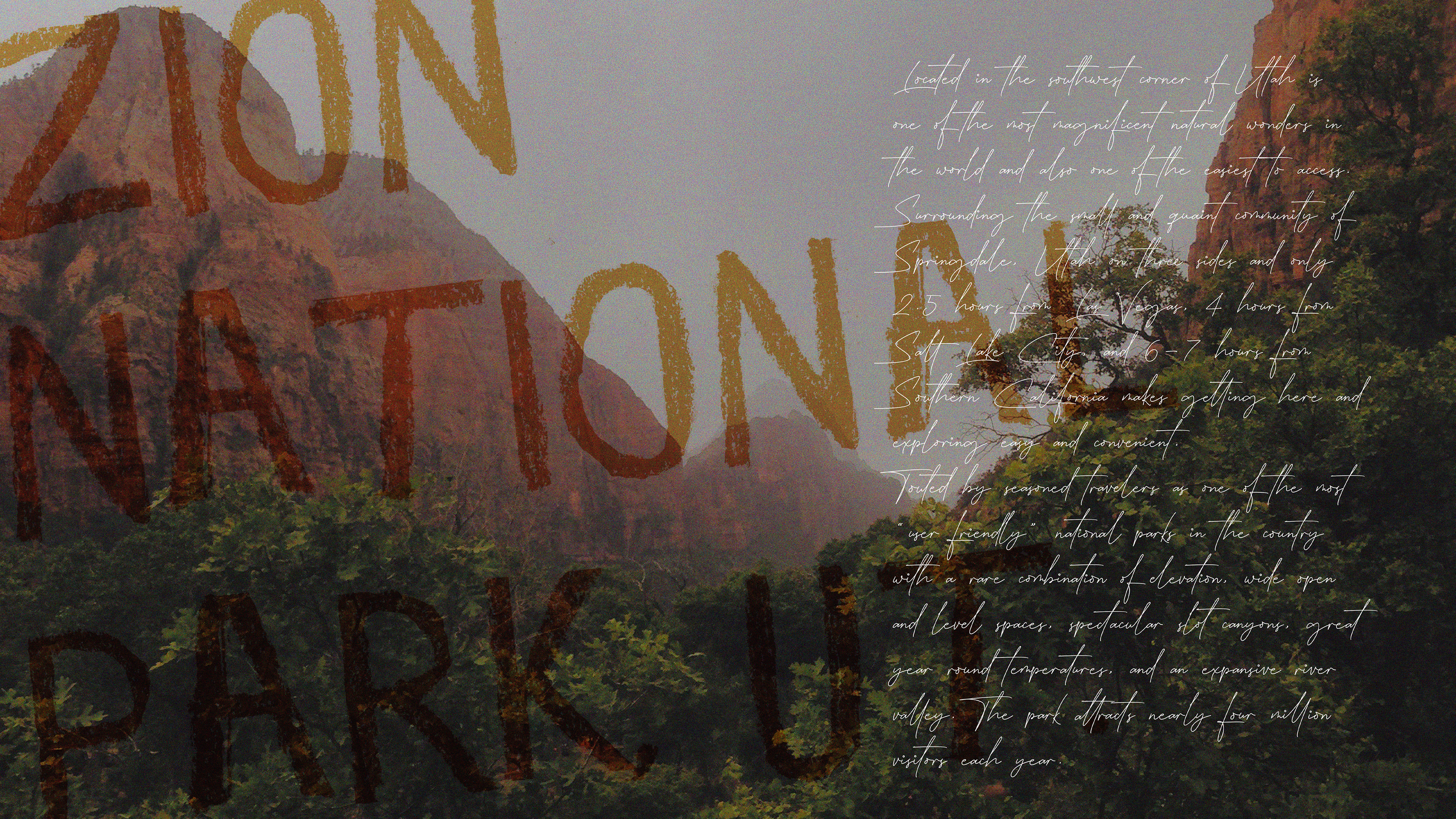 Typeface Exploration