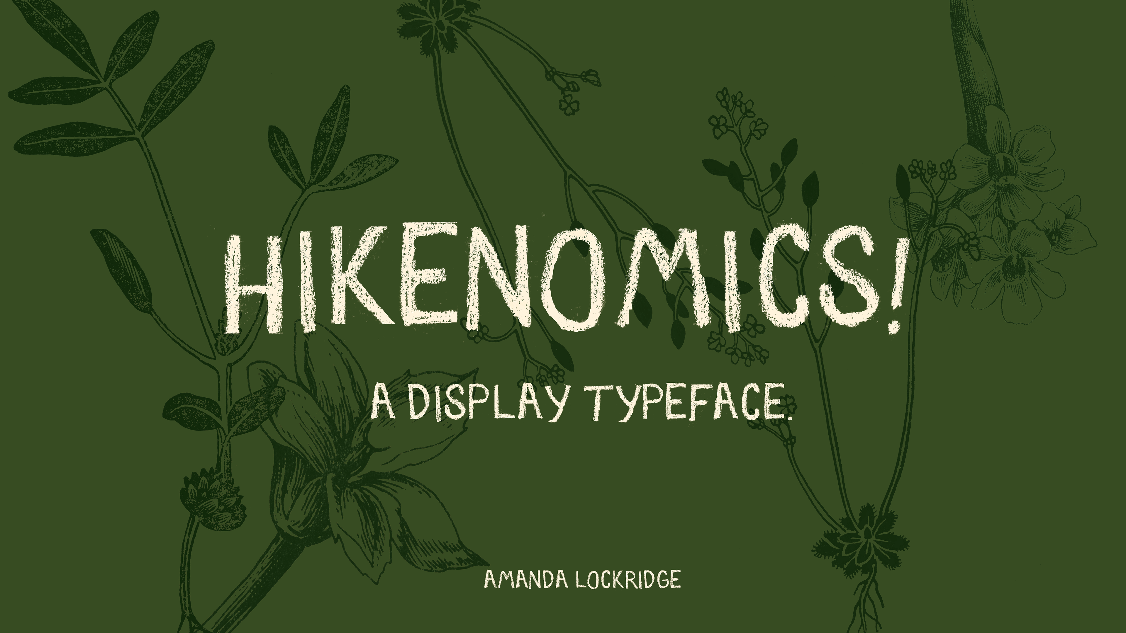 Typeface Exploration