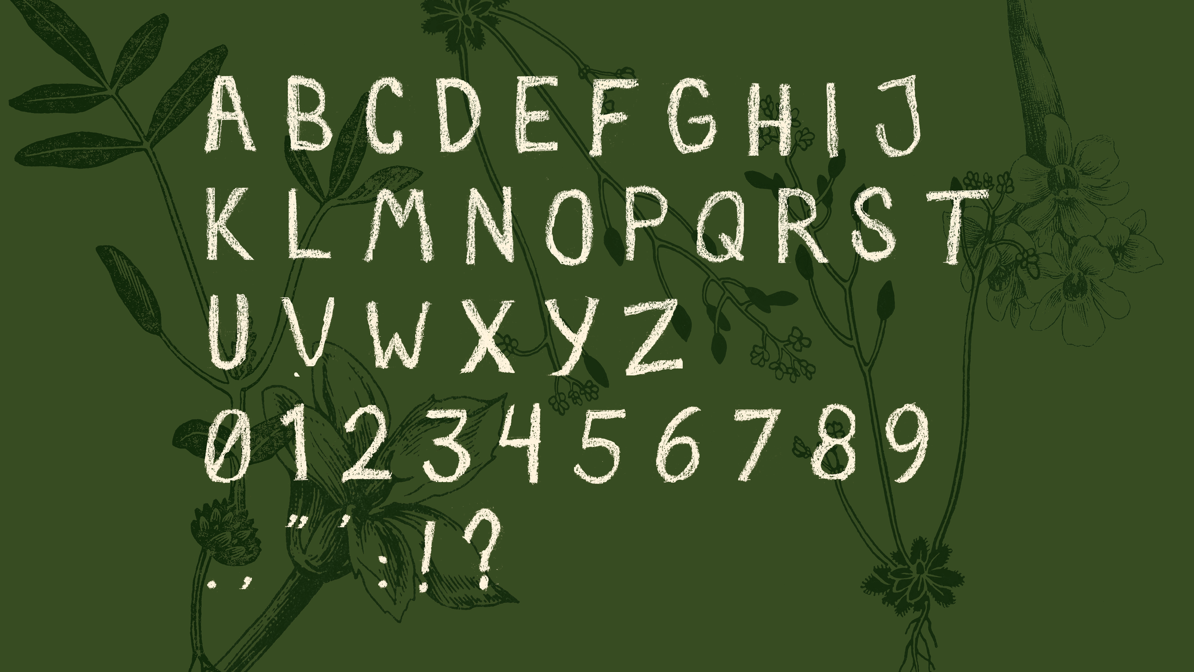 Typeface Exploration