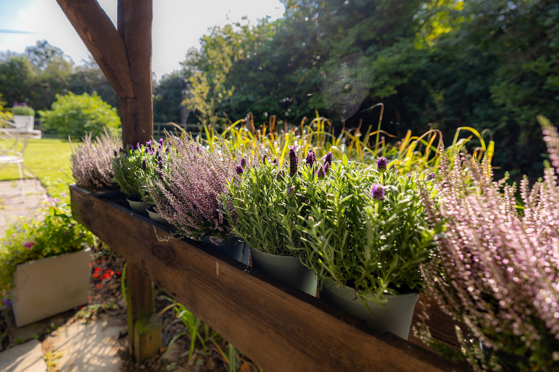 Garden and landscape details