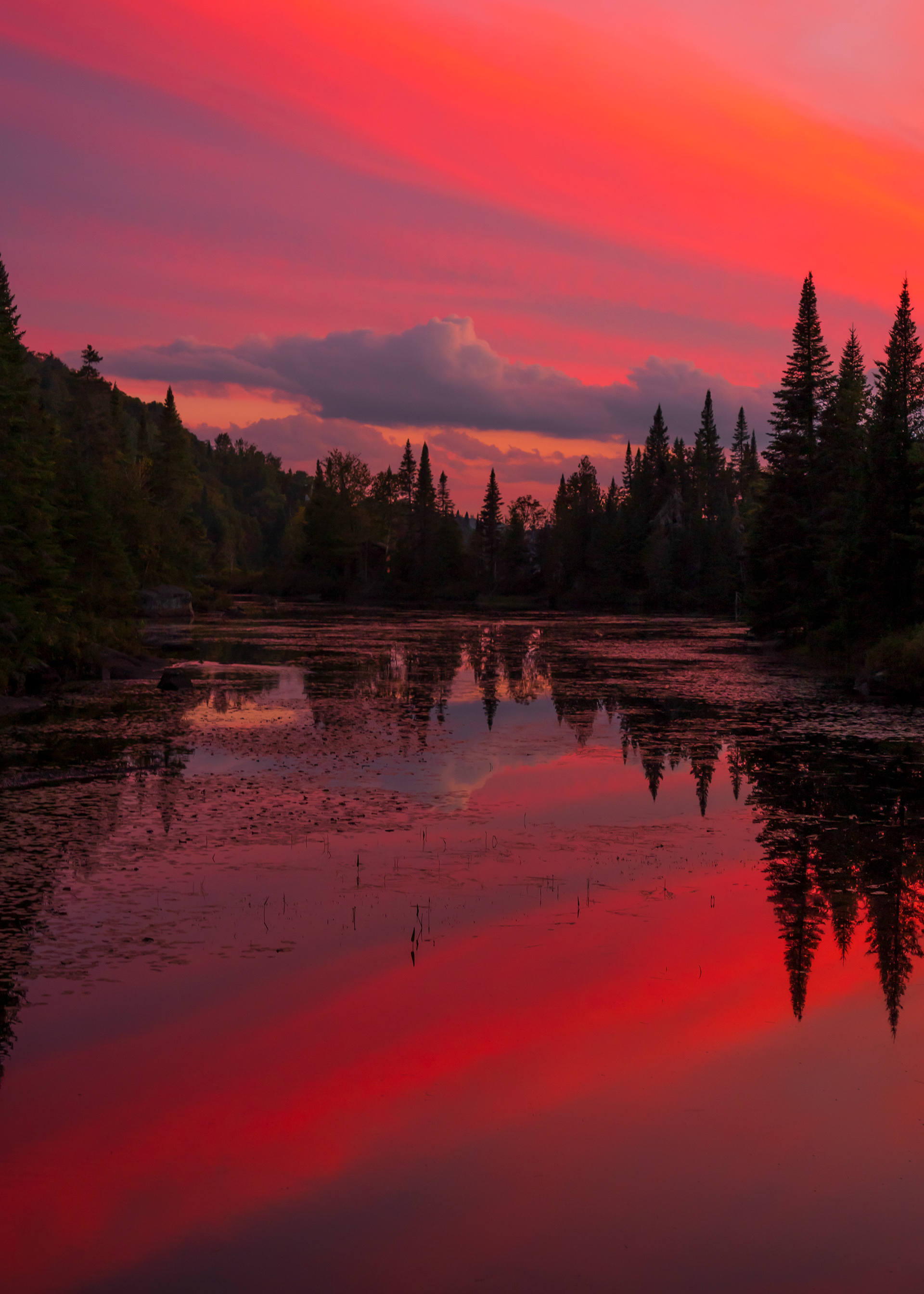 Rouge sur le lac (2022)