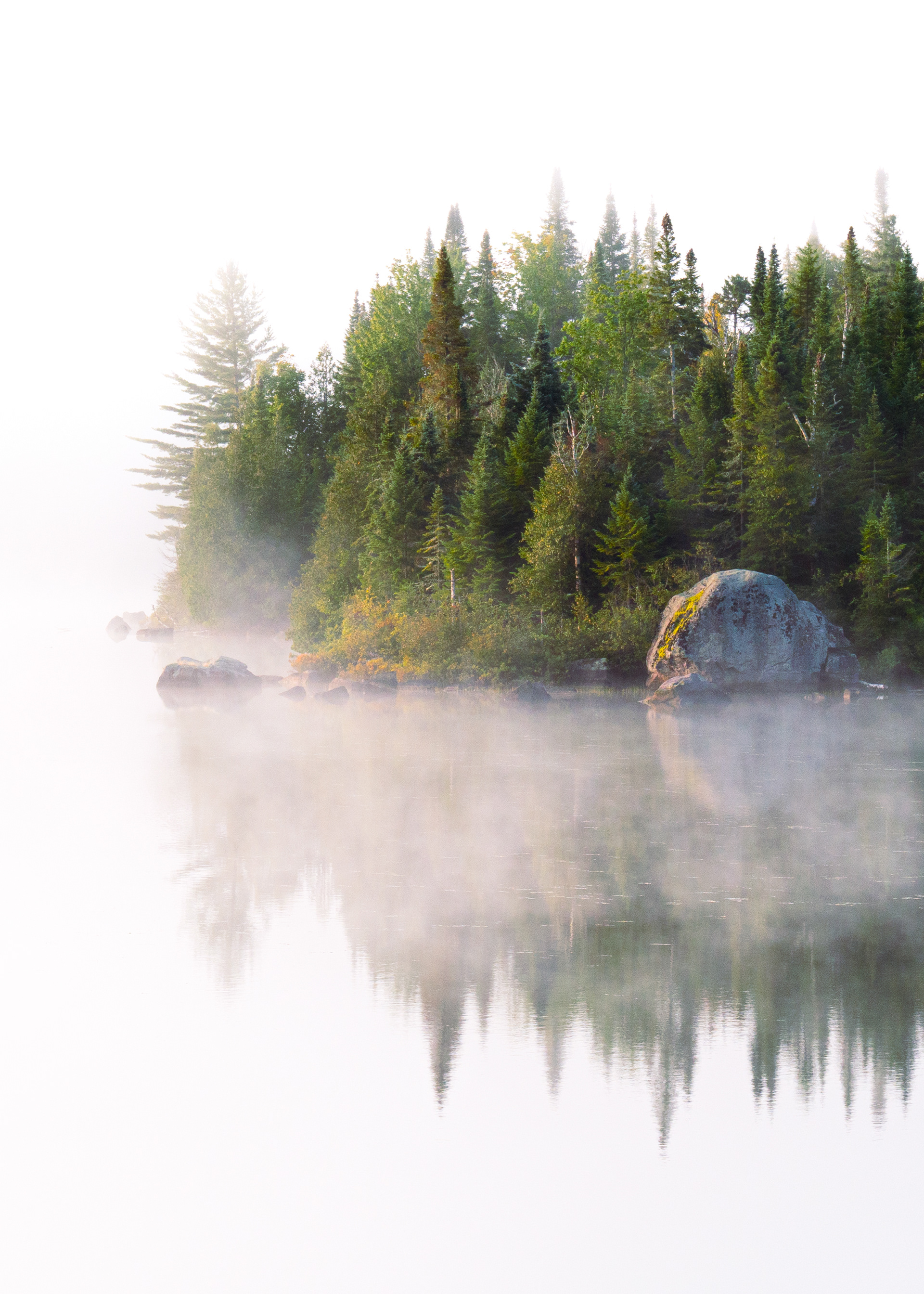 Envoûtante brume (2023)