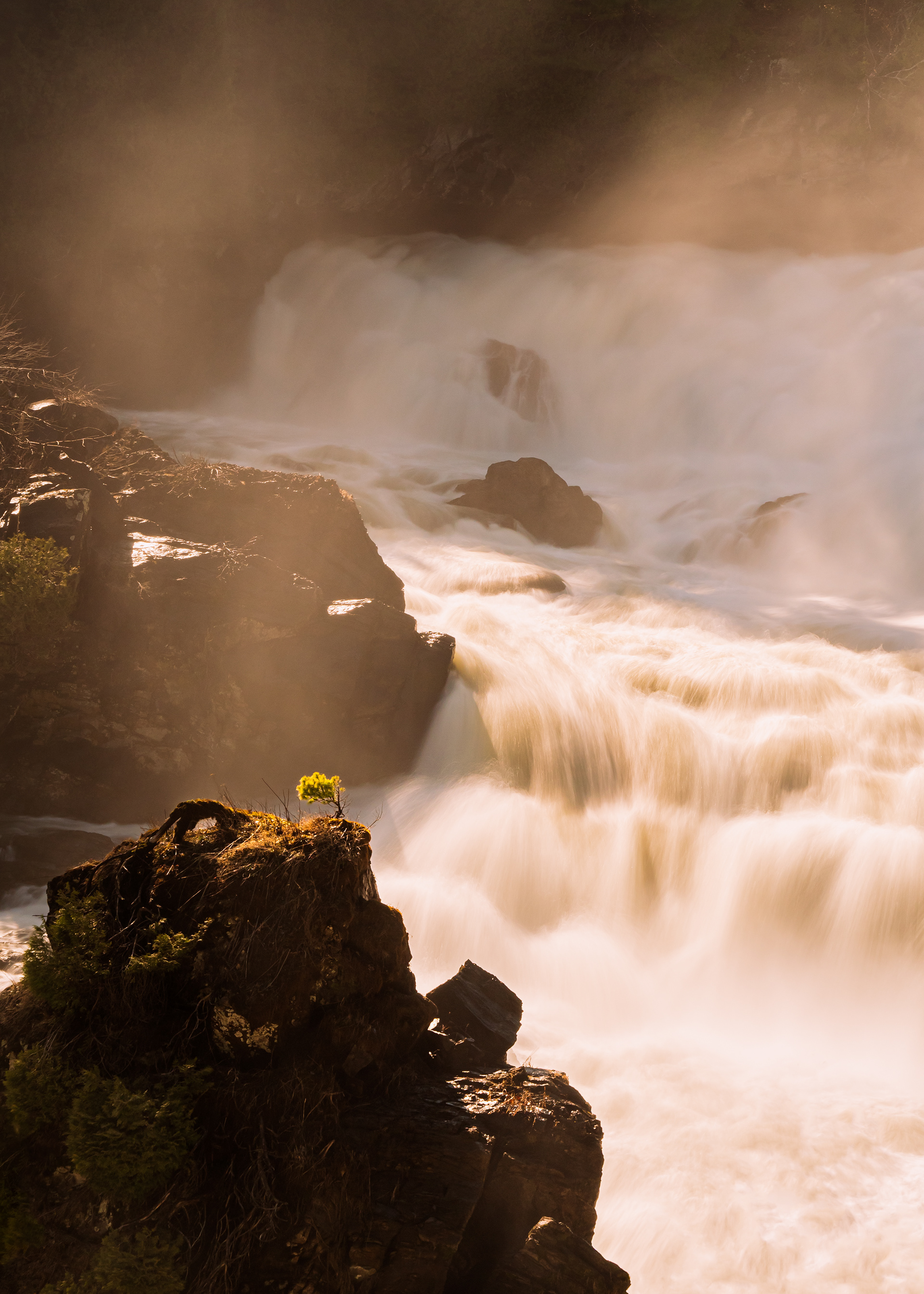 Quiétude & Chaos (2021)