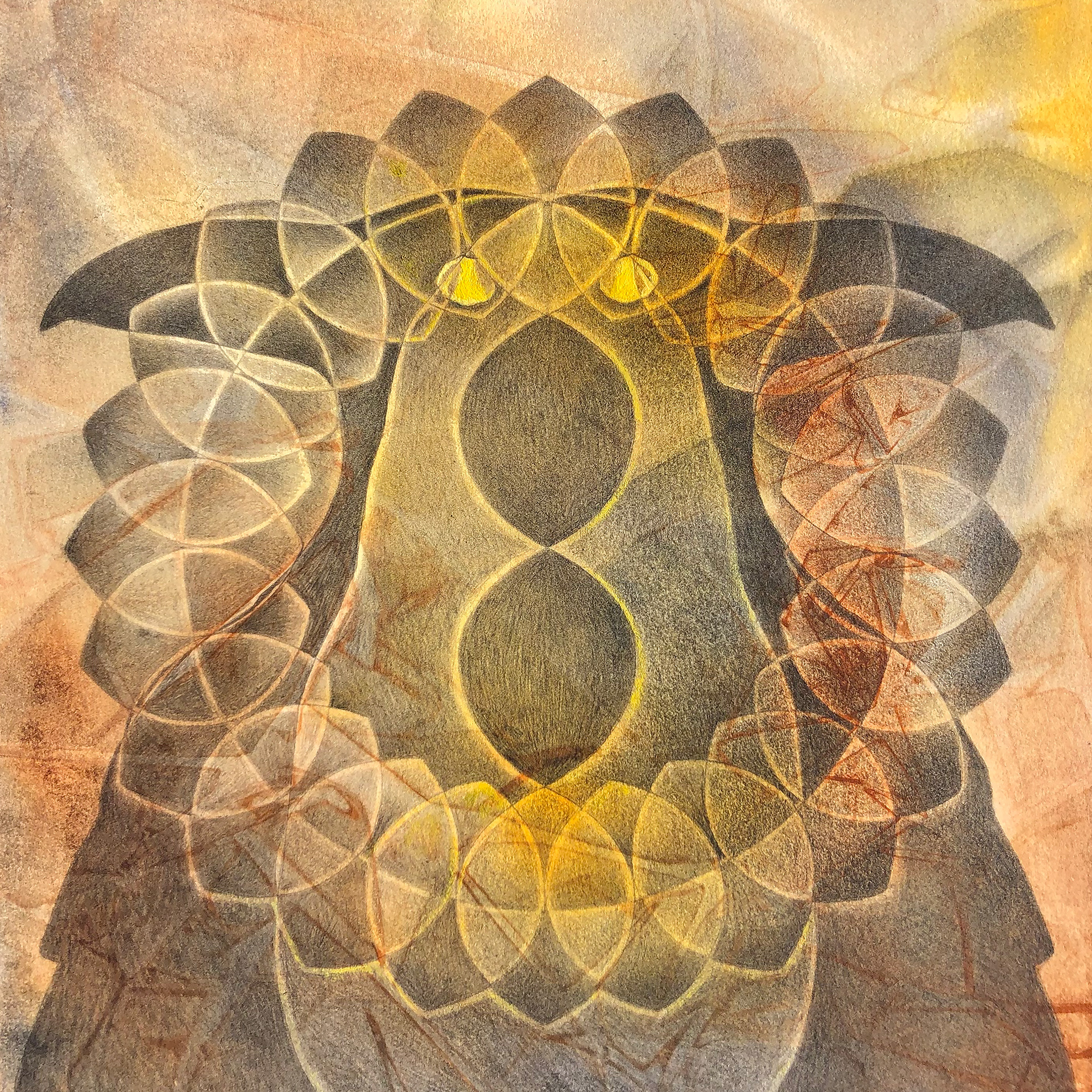 Series: Shamanka Iatromantis