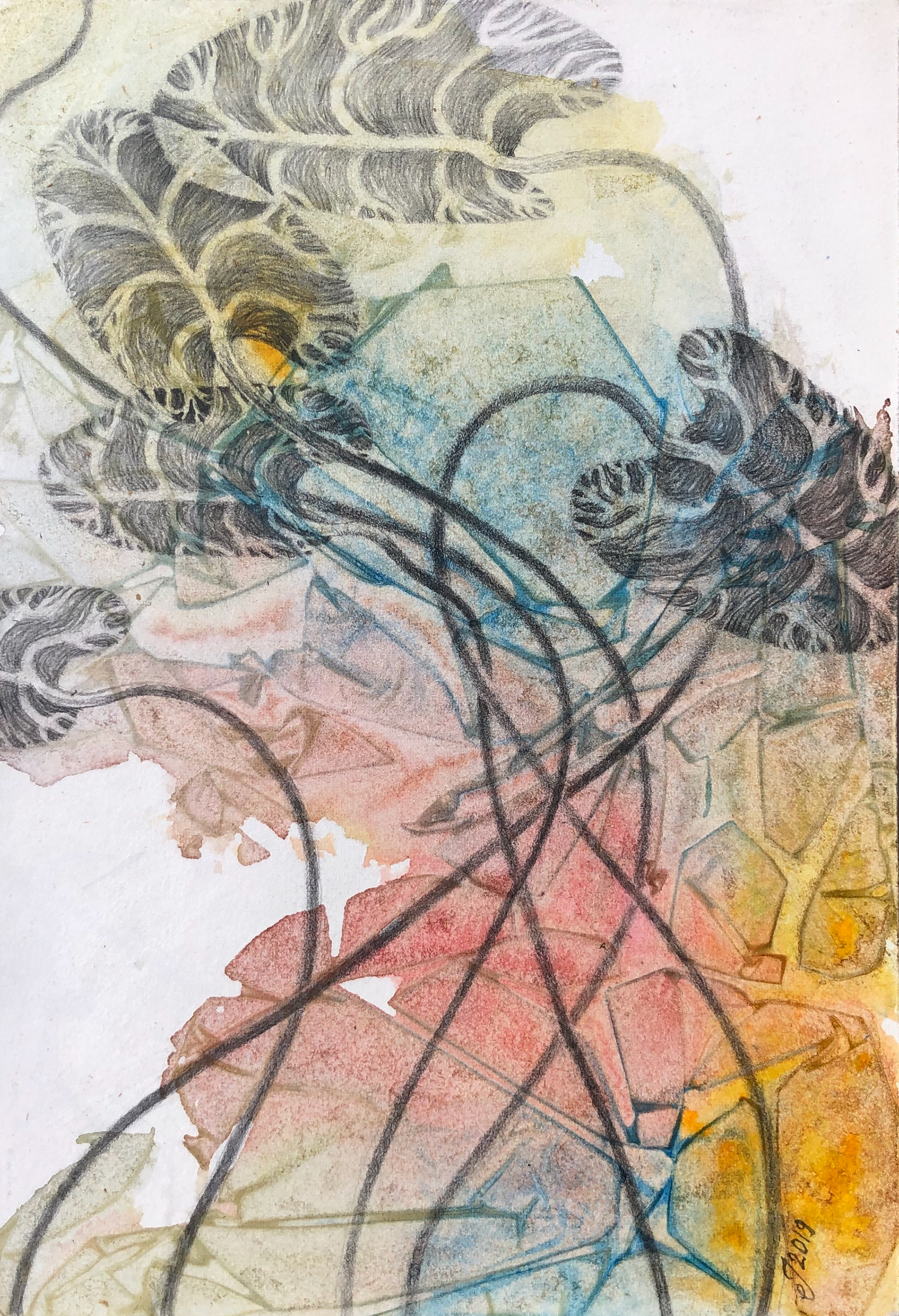 New Born Ancestors - 2019