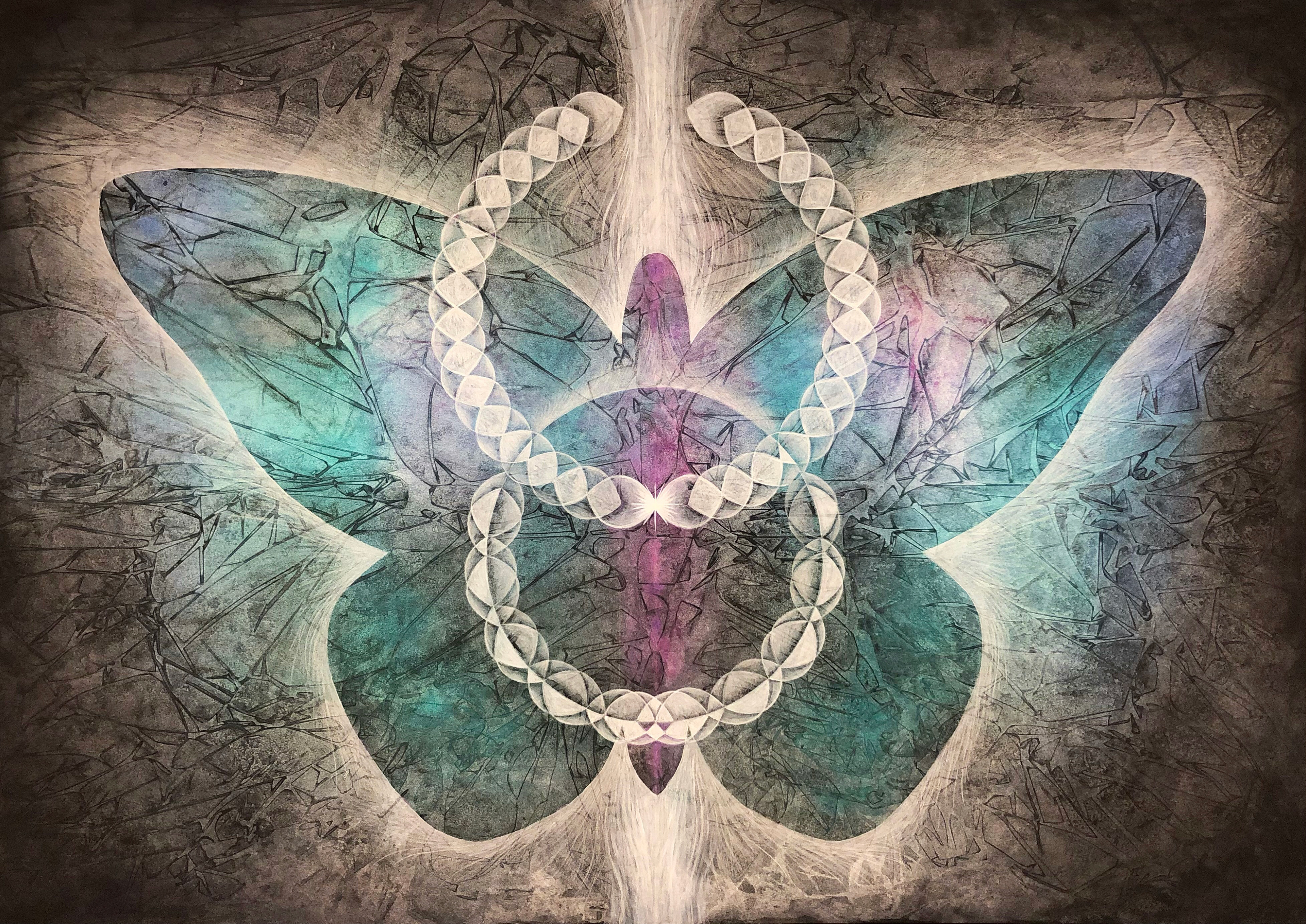 Series: Lepidoptera