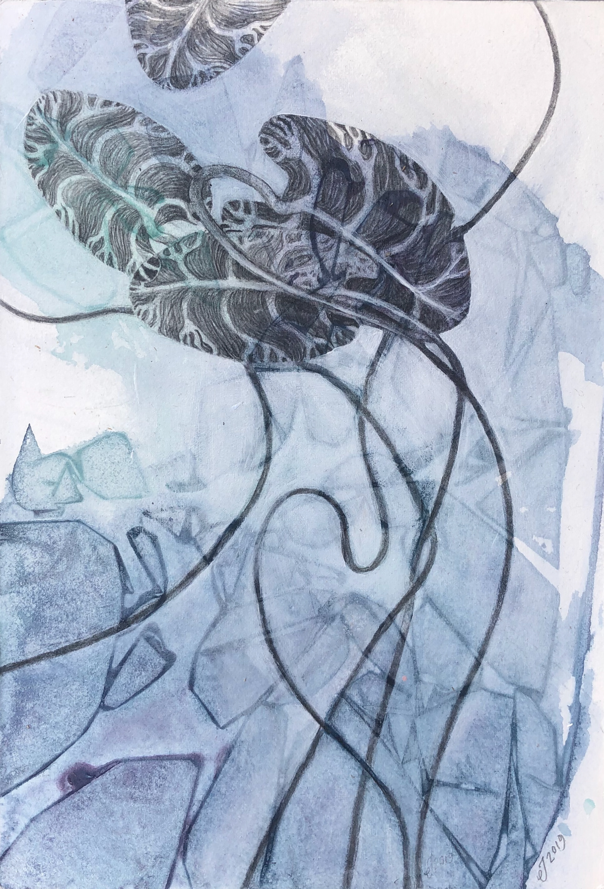Clear Waters - 2019