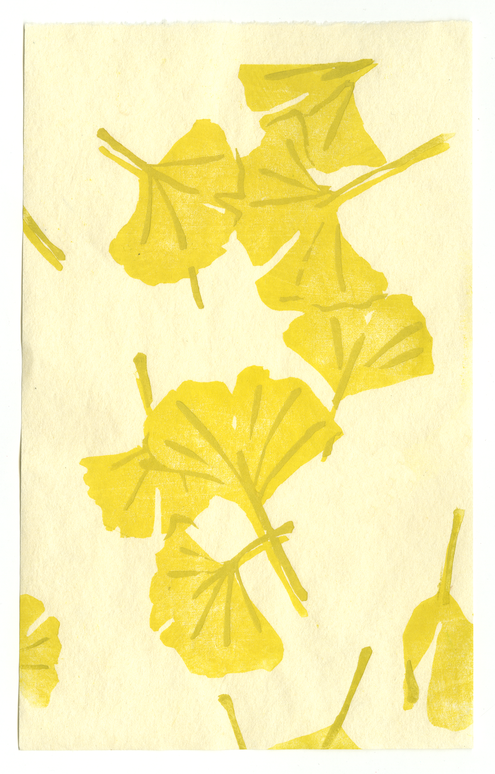 Gingko