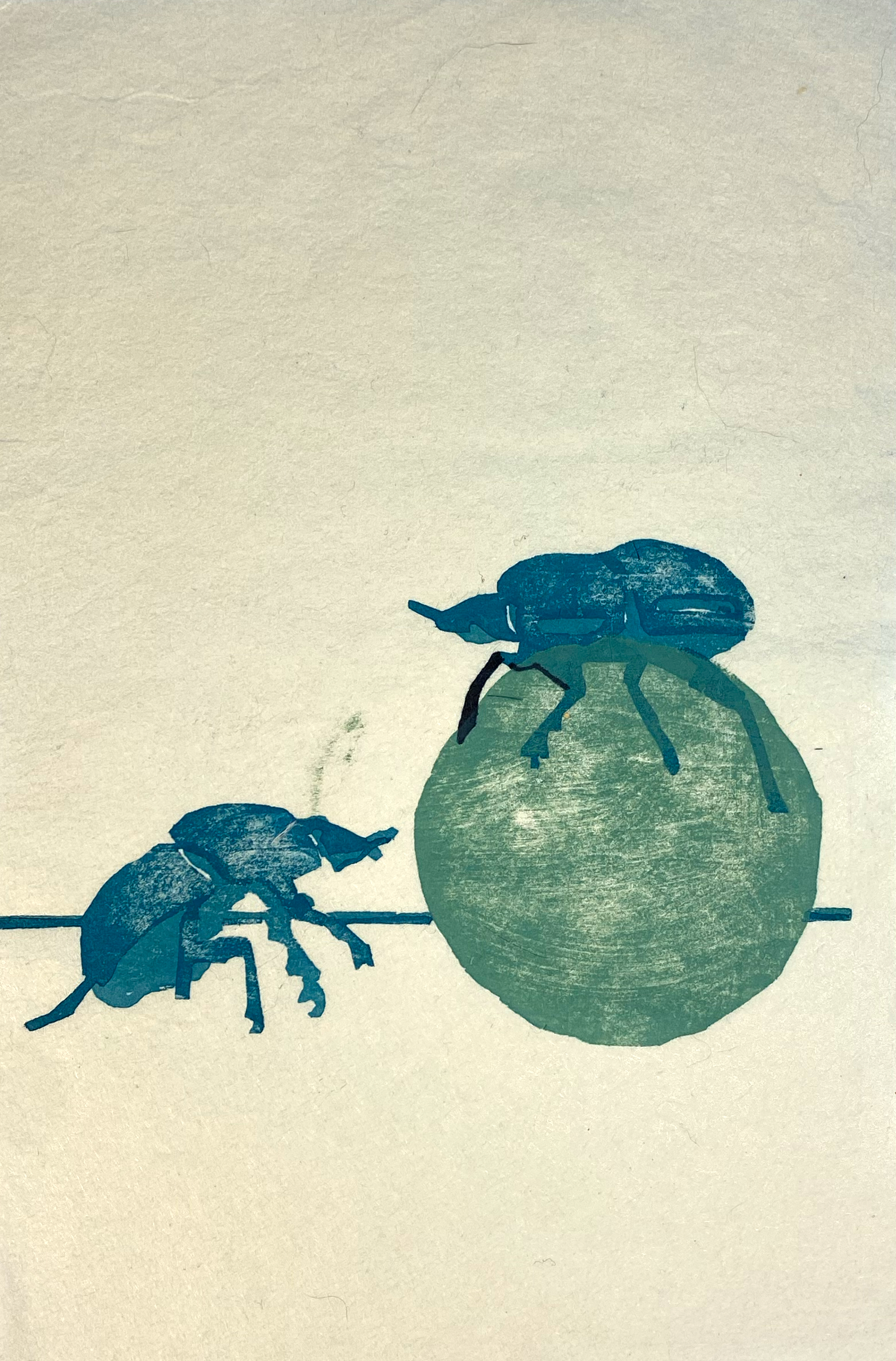 Dung Beetles