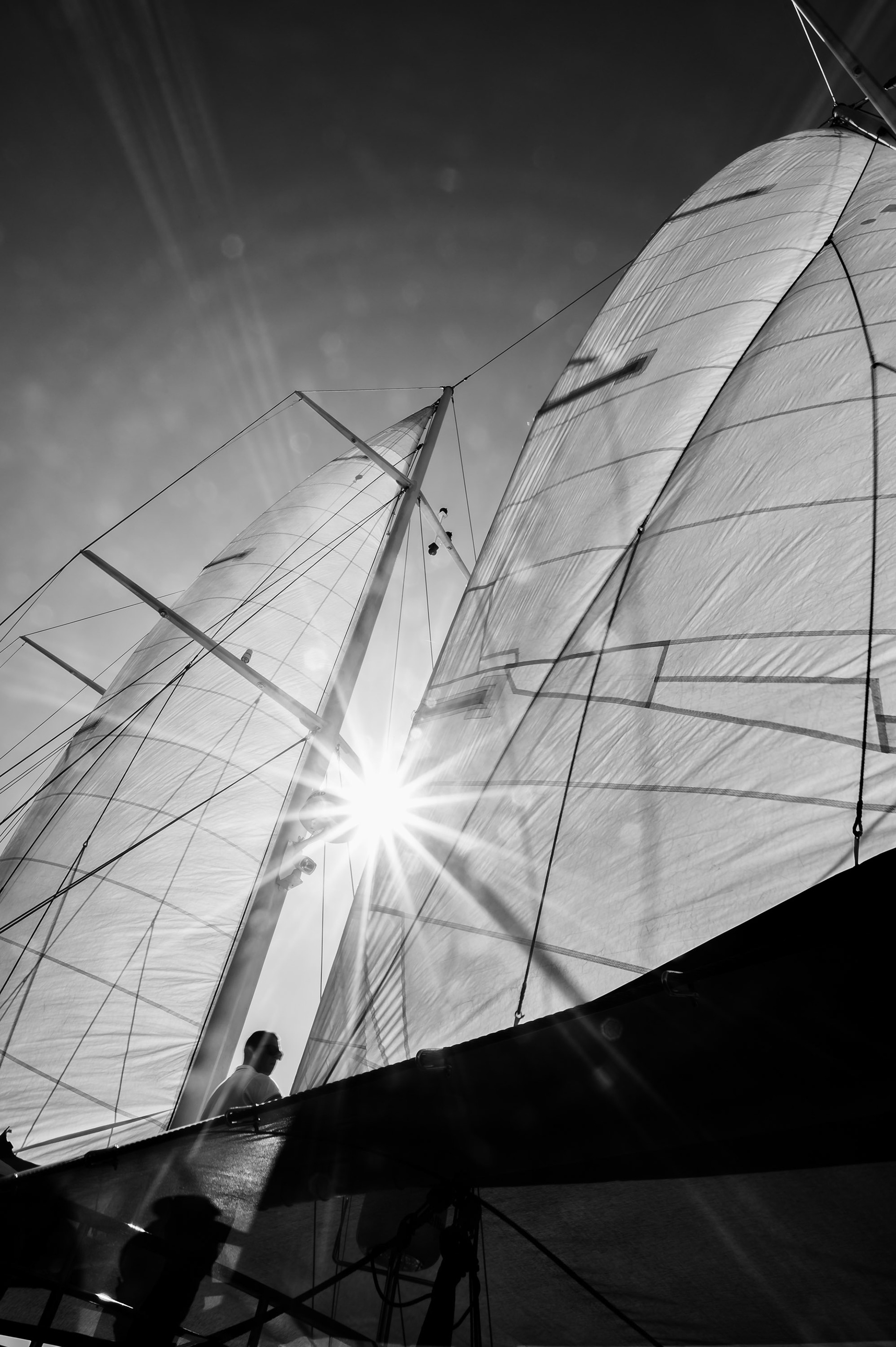 The Sea Cloud at sea