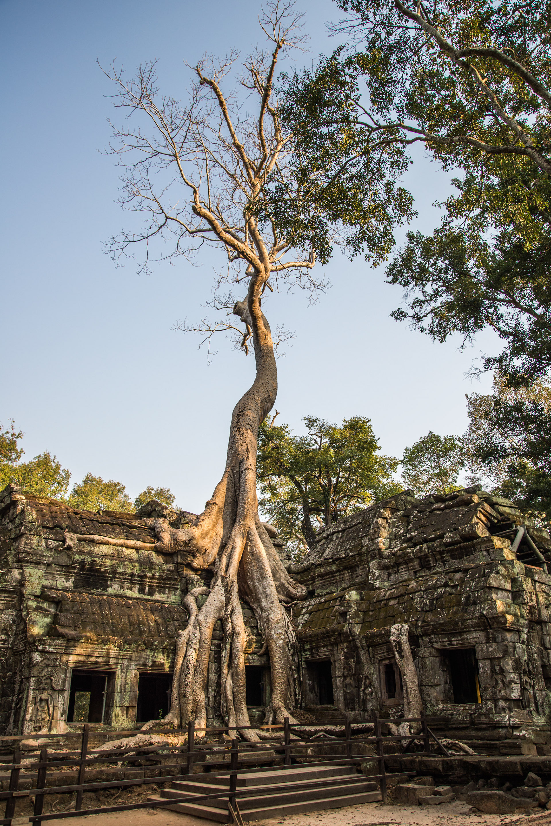 Siem Reap Cambodia