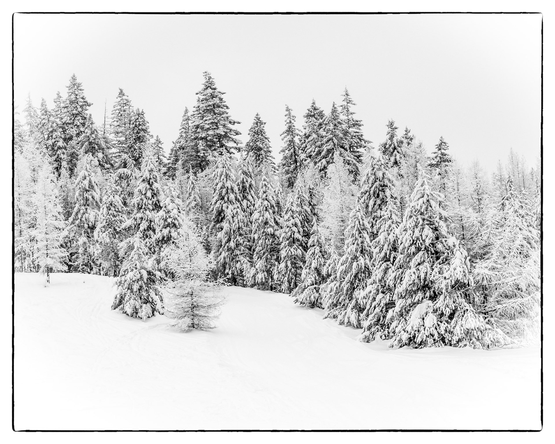 Loup Loup Ski Resort WA