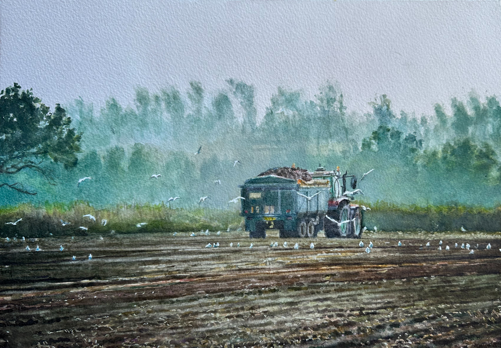 November, Bringing in the Beet.