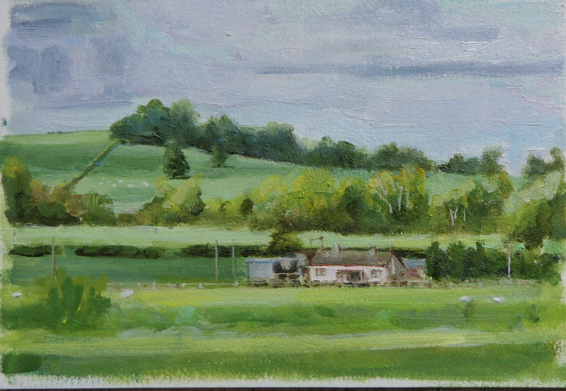 View from Kinnitty Castle