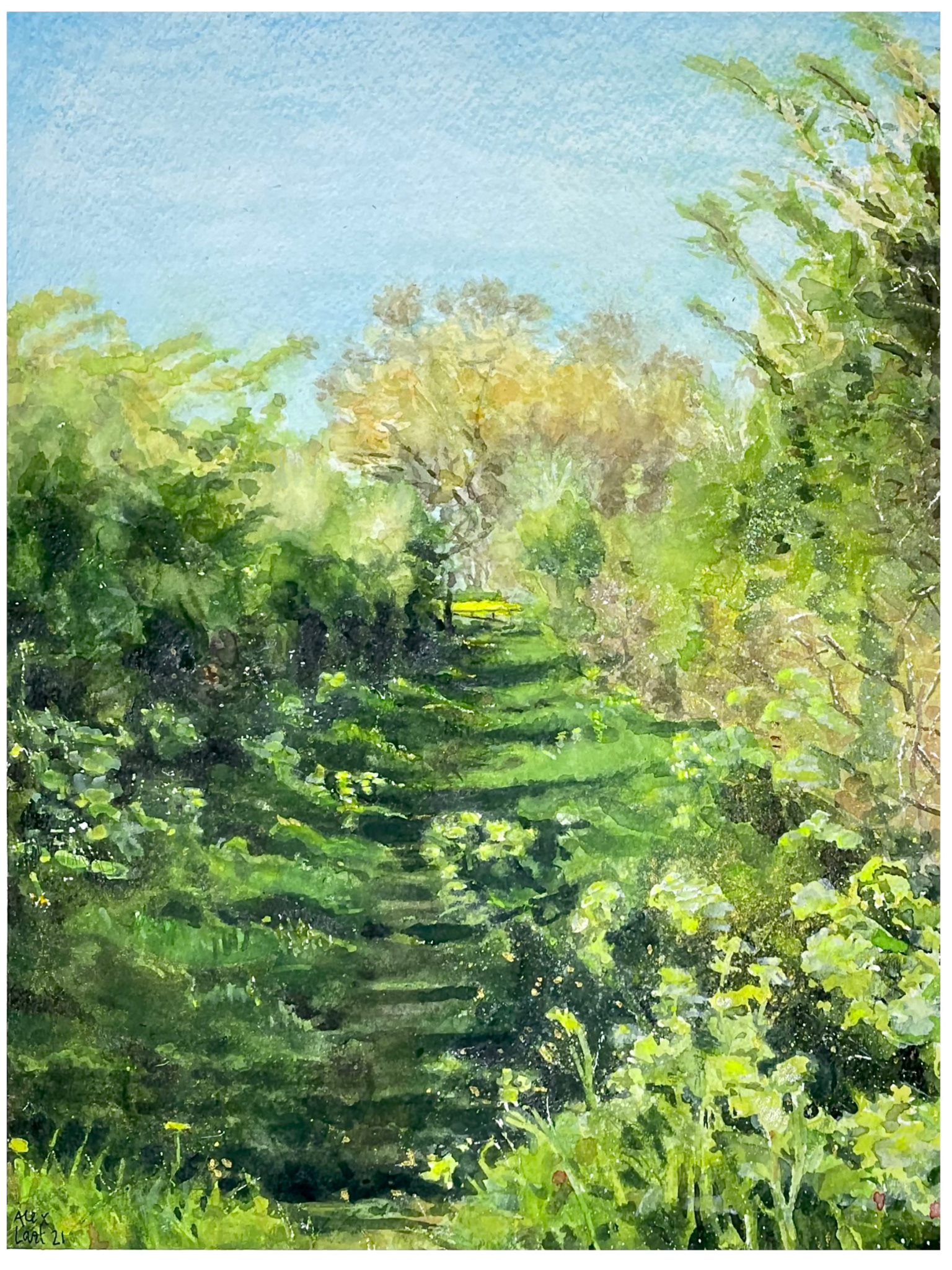 Taste the Pollen, Panxworth