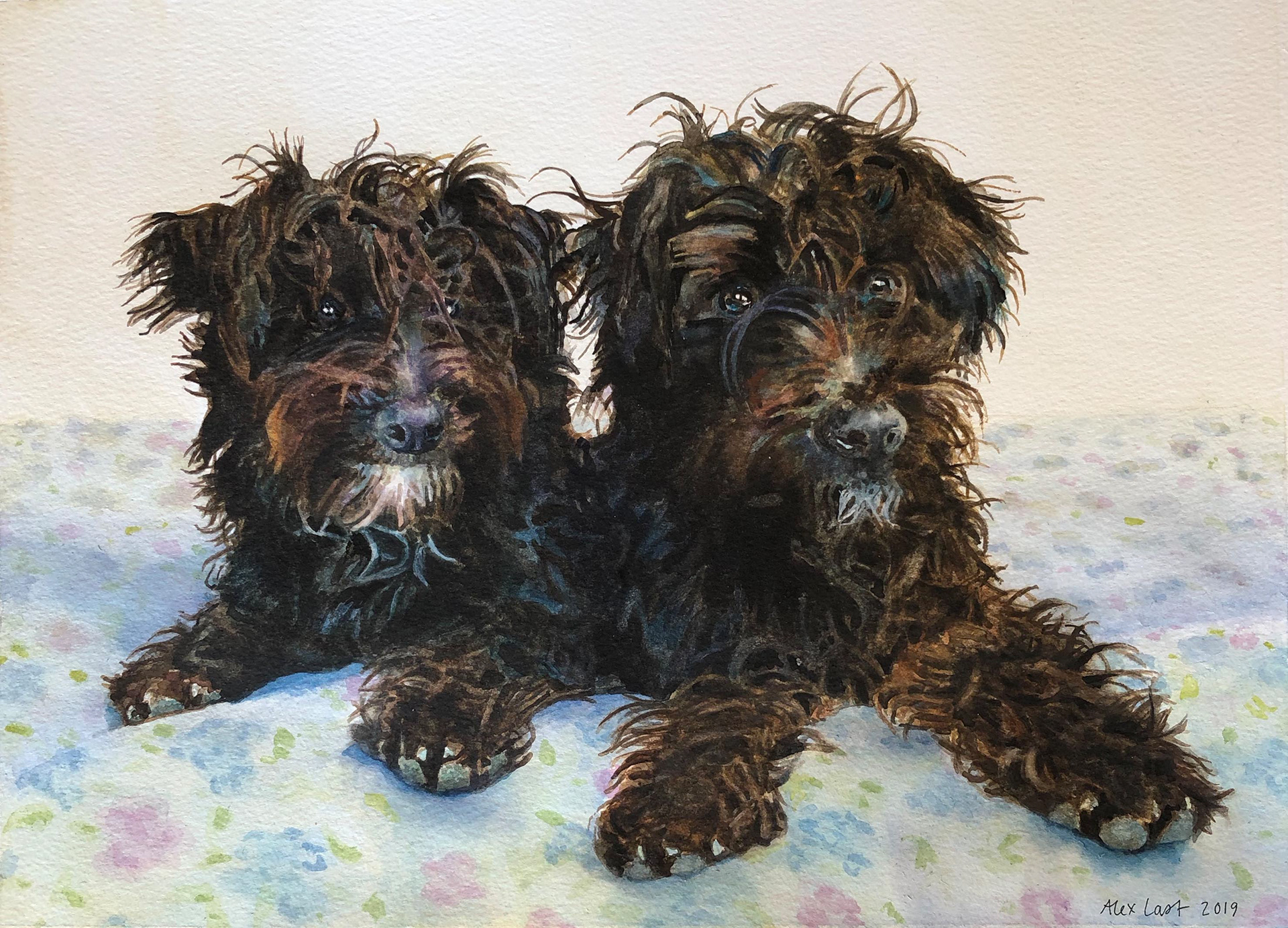 Indie and Ronnie, SOLD