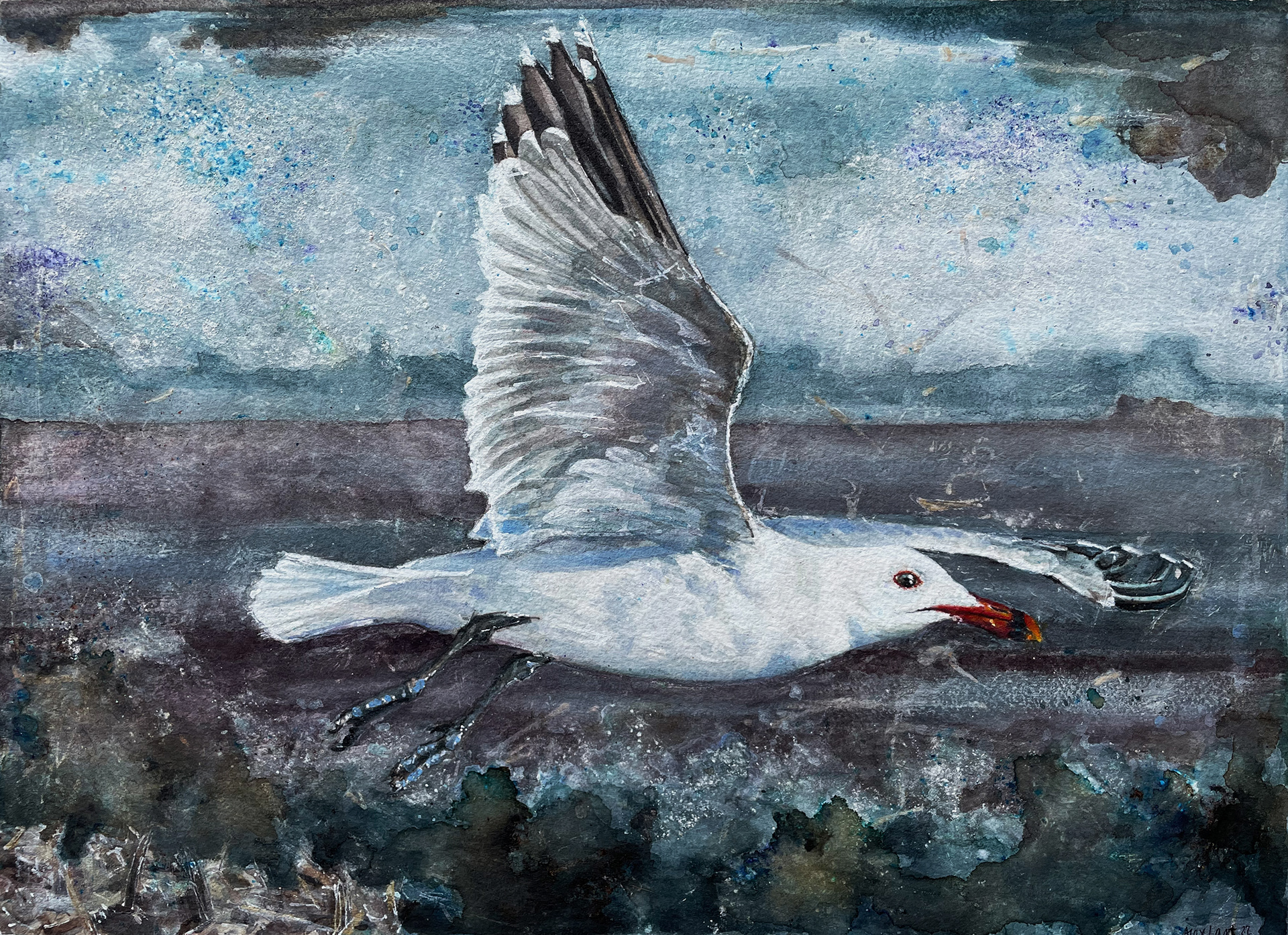 Into The Storm, Audouin's Gull, SOLD