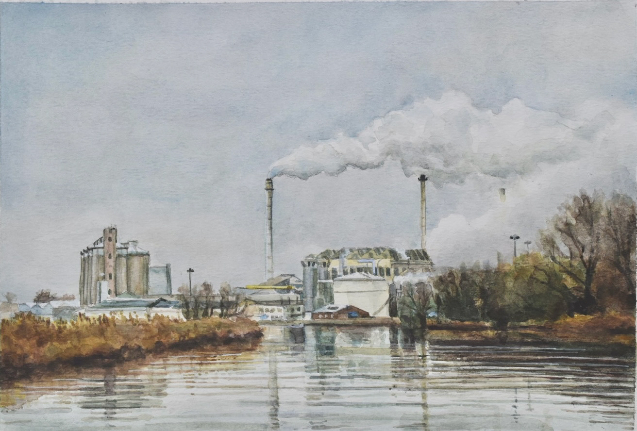 Approach to Cantley, River Yare